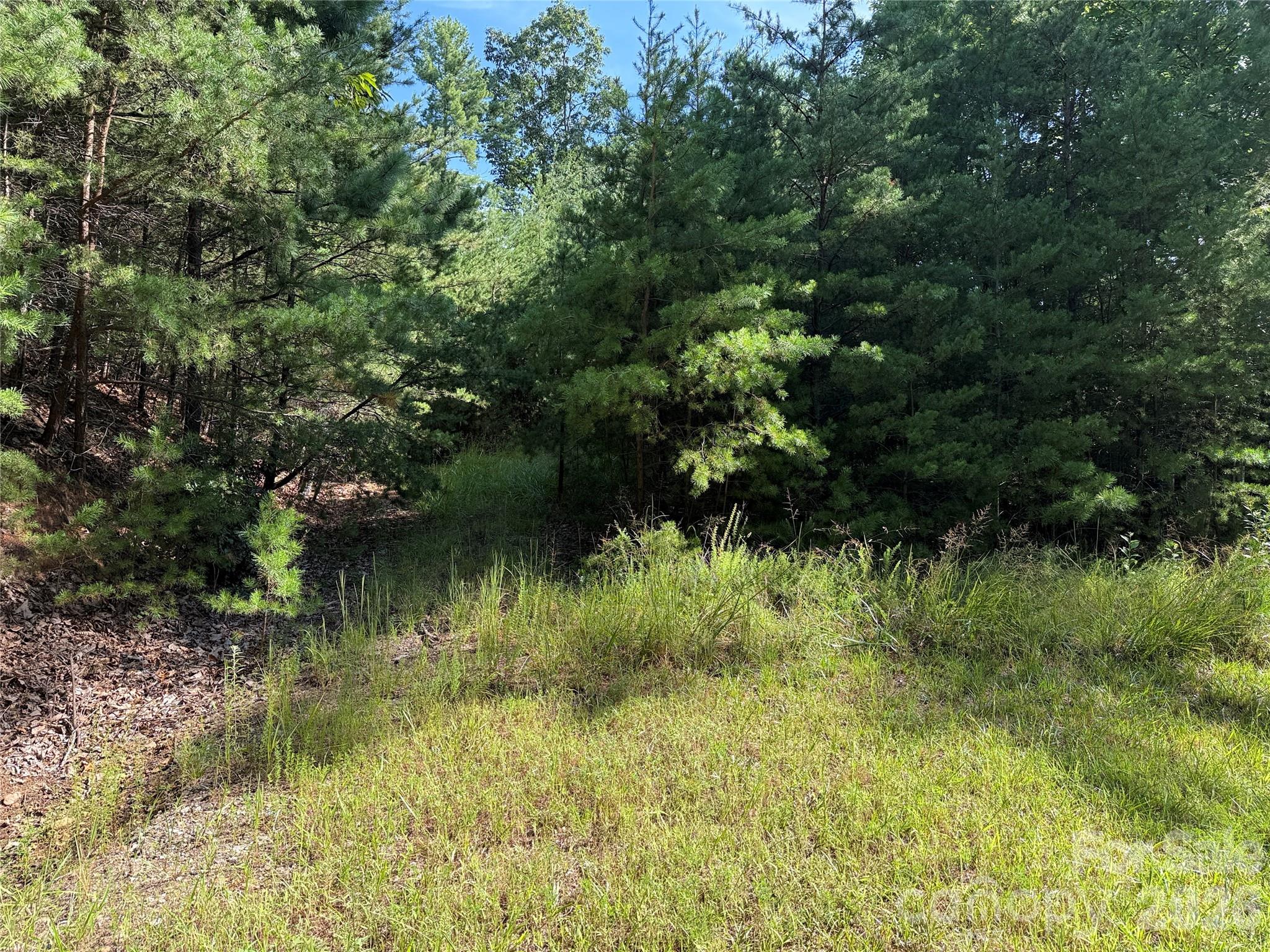 Tbd Wolf Pen Road 24 Property Photo 3