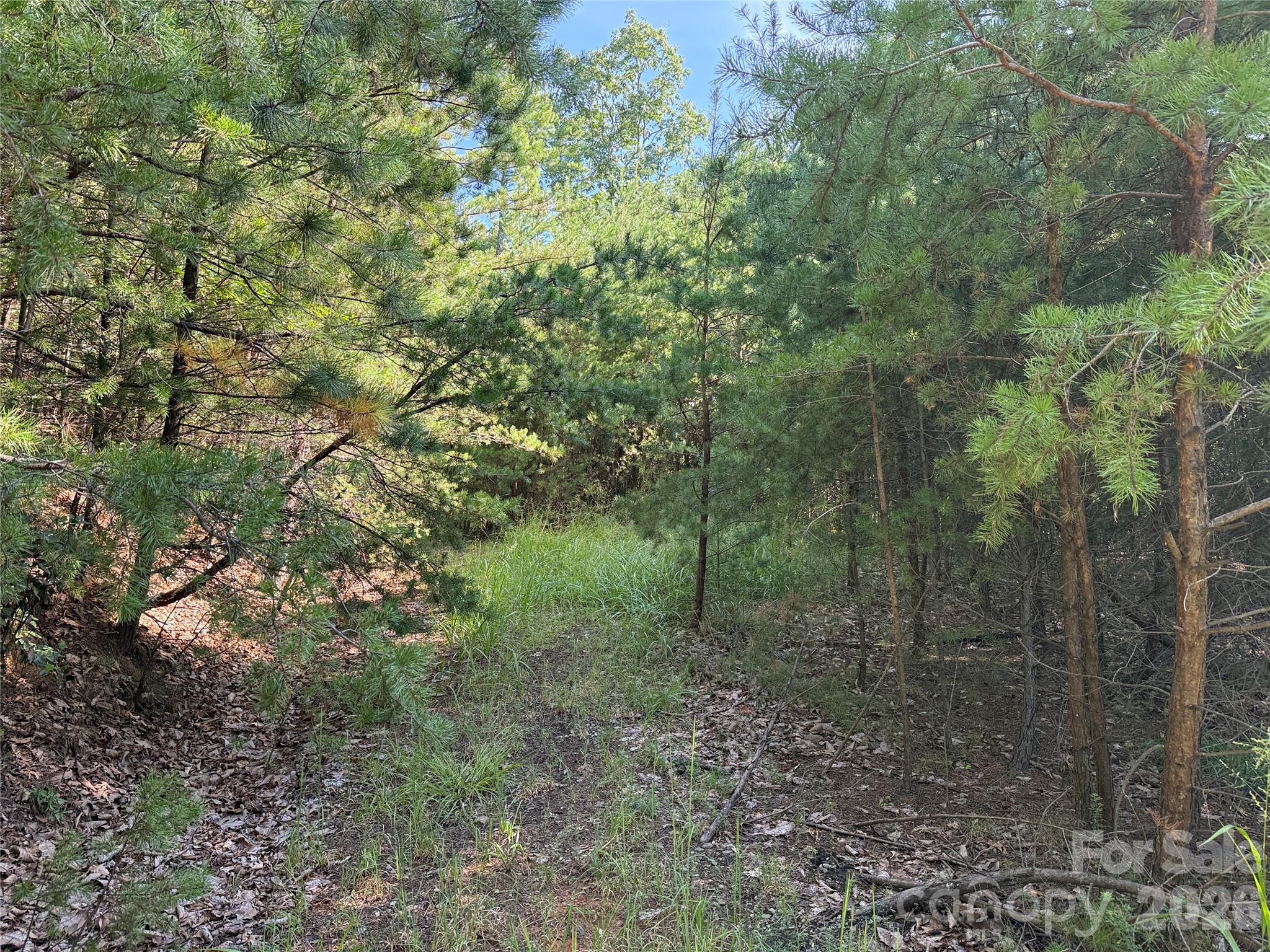 Tbd Wolf Pen Road 24 Property Photo 4