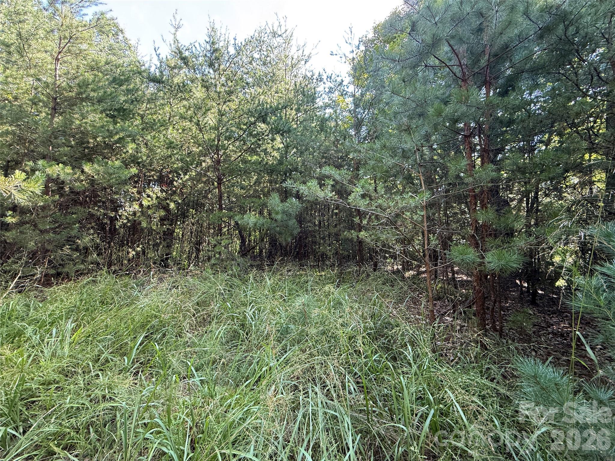 Tbd Wolf Pen Road 24 Property Photo 6