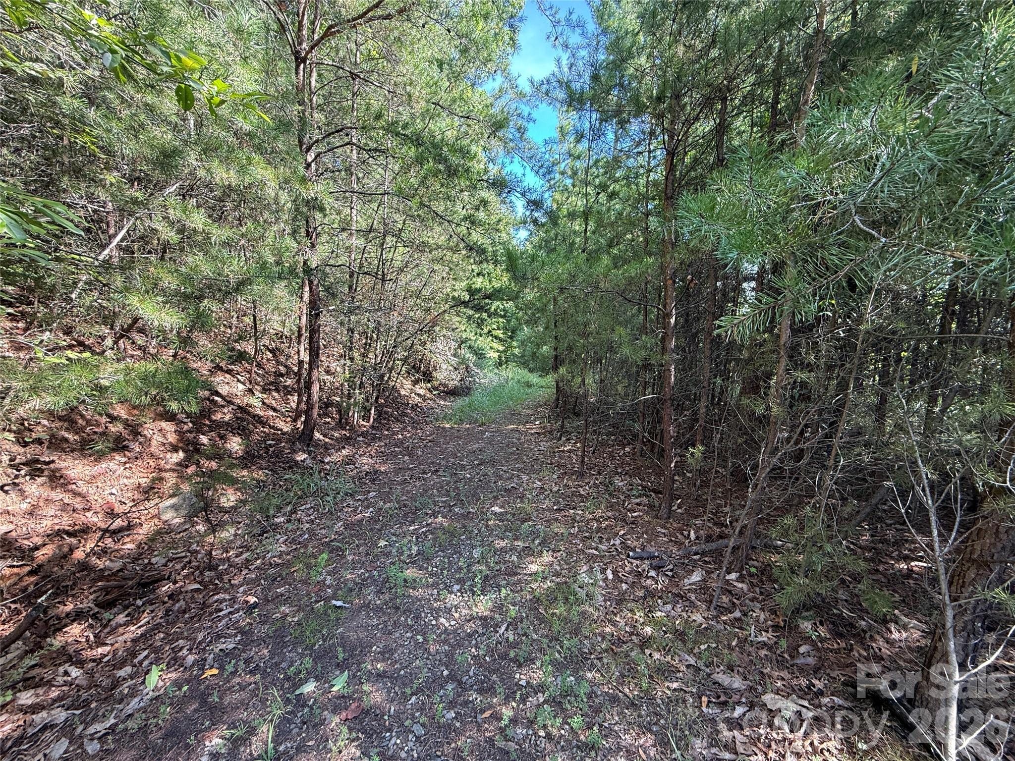 Tbd Wolf Pen Road 24 Property Photo 7