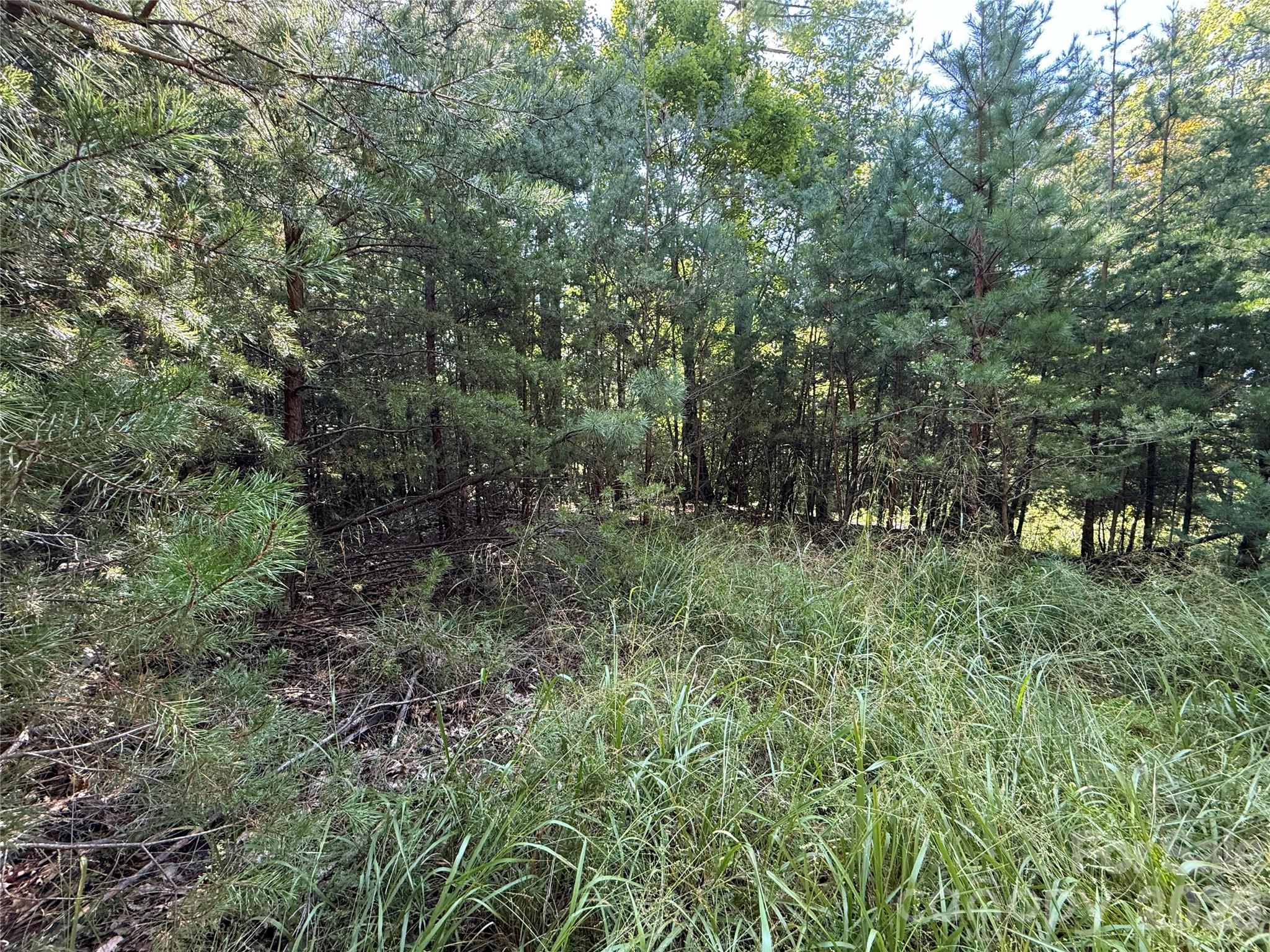Tbd Wolf Pen Road 24 Property Photo 8