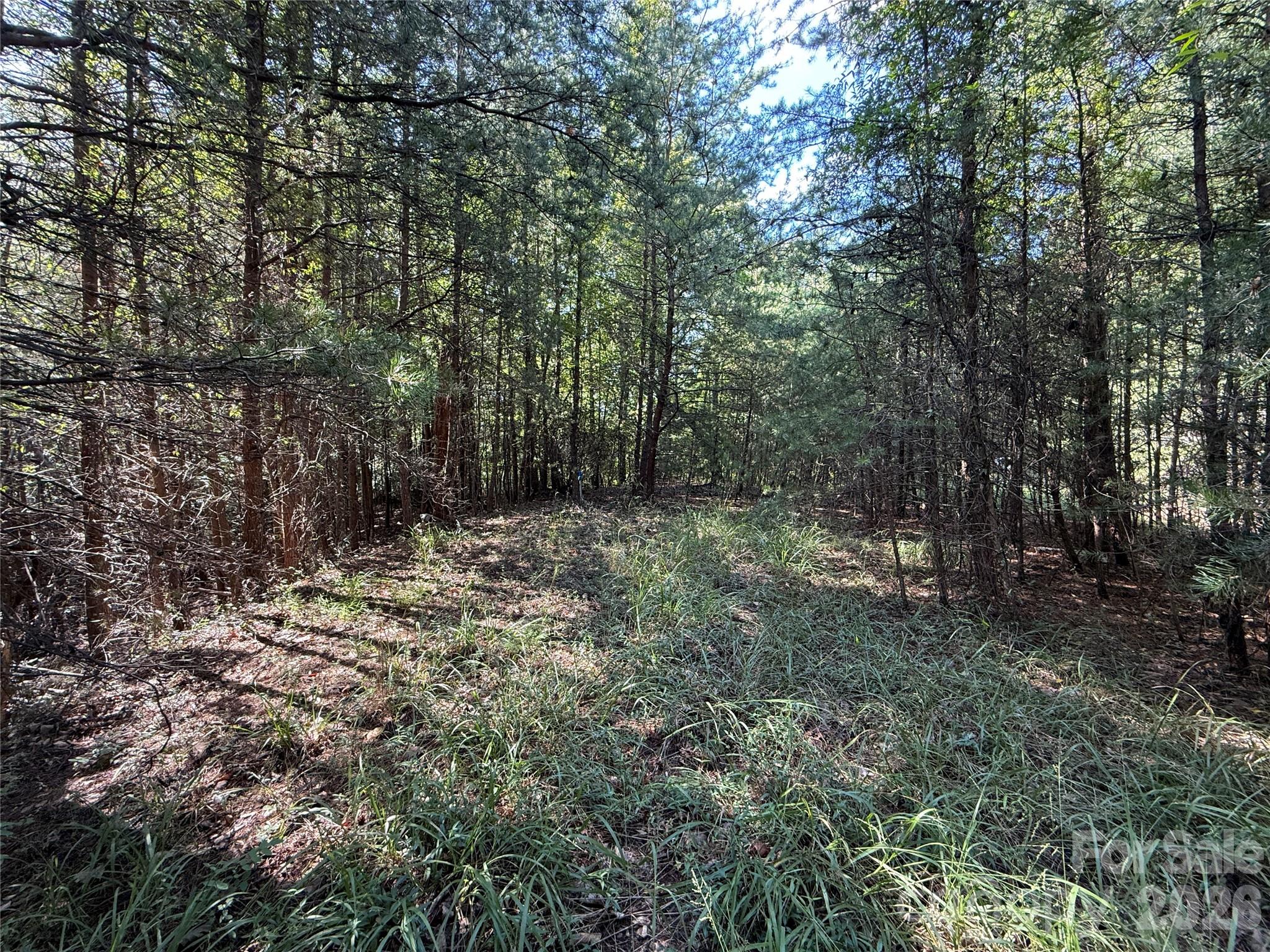 Tbd Wolf Pen Road 24 Property Photo 10