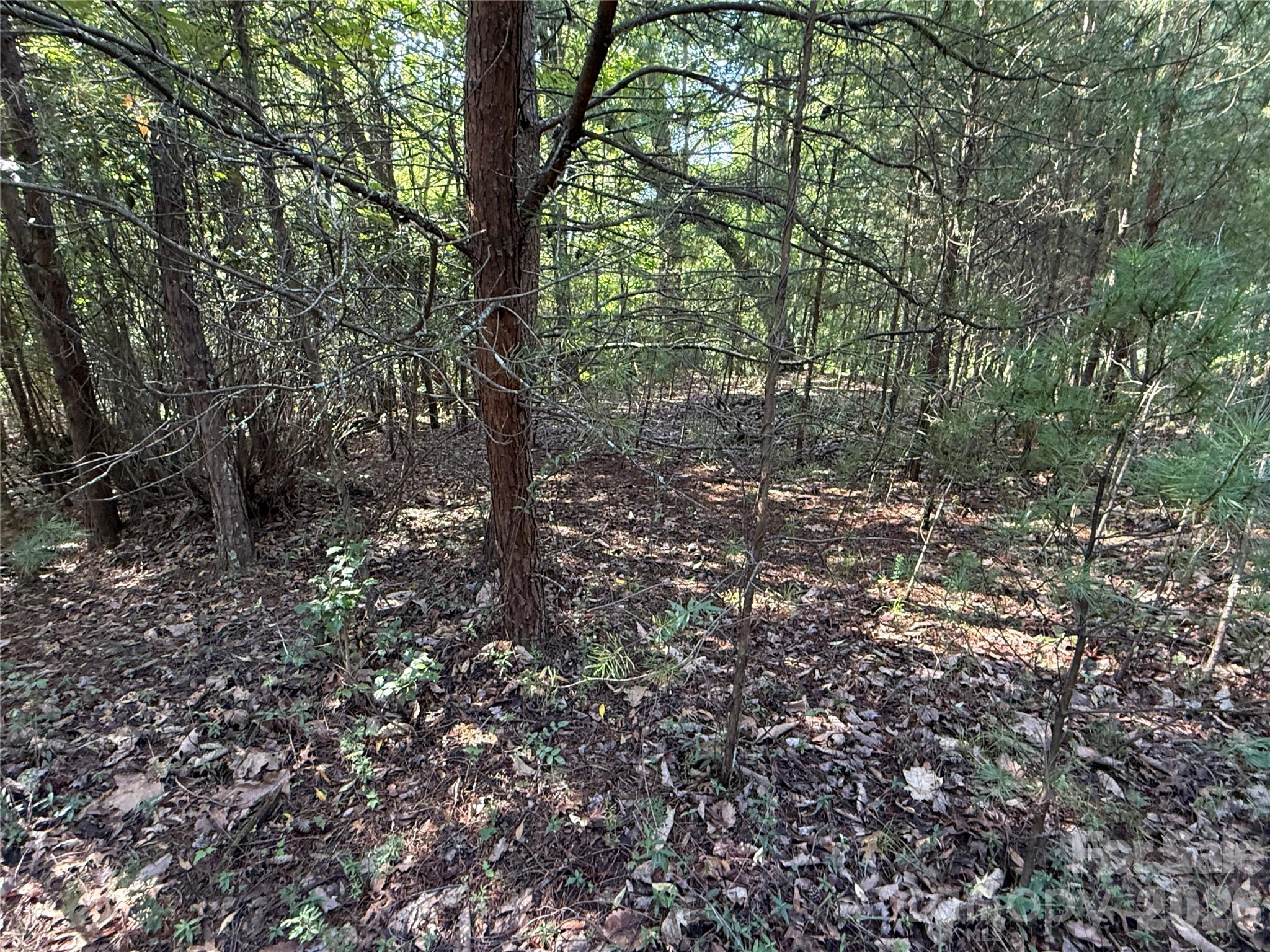 Tbd Wolf Pen Road 24 Property Photo 12