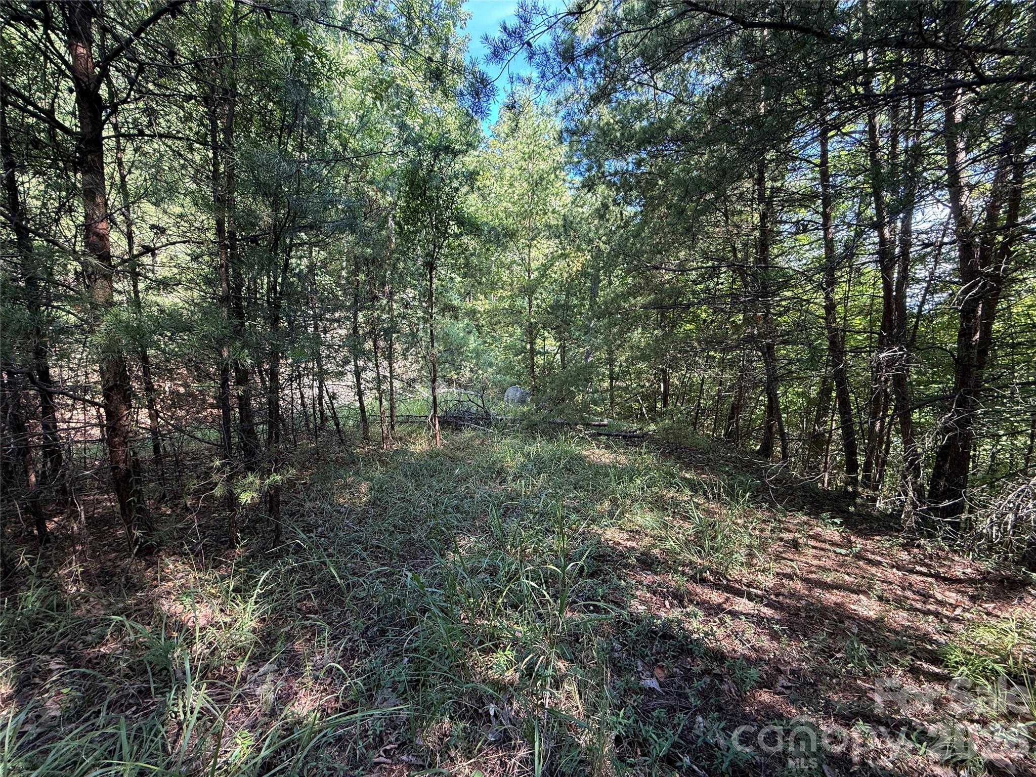 Tbd Wolf Pen Road 24 Property Photo 14