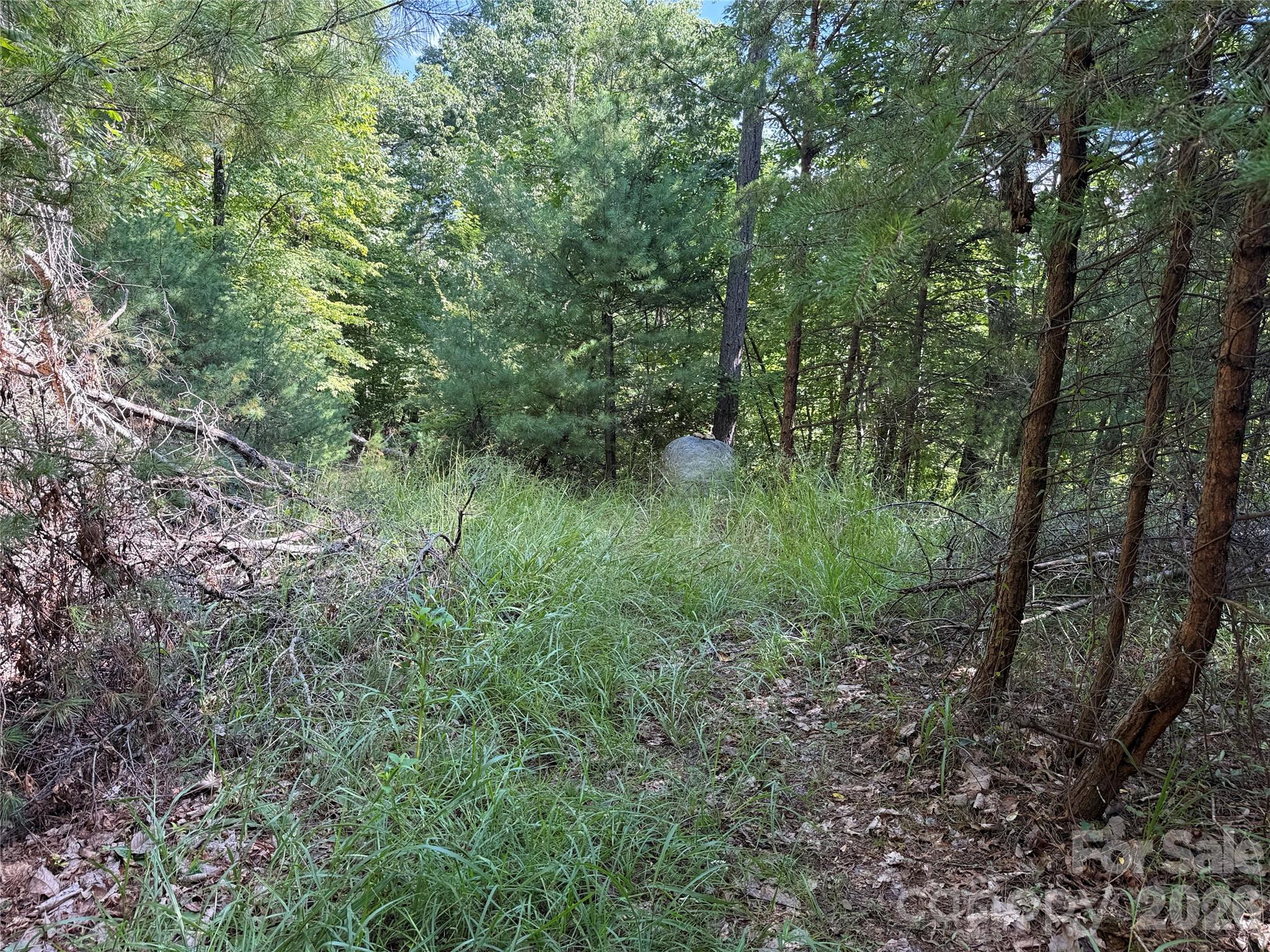Tbd Wolf Pen Road 24 Property Photo 15