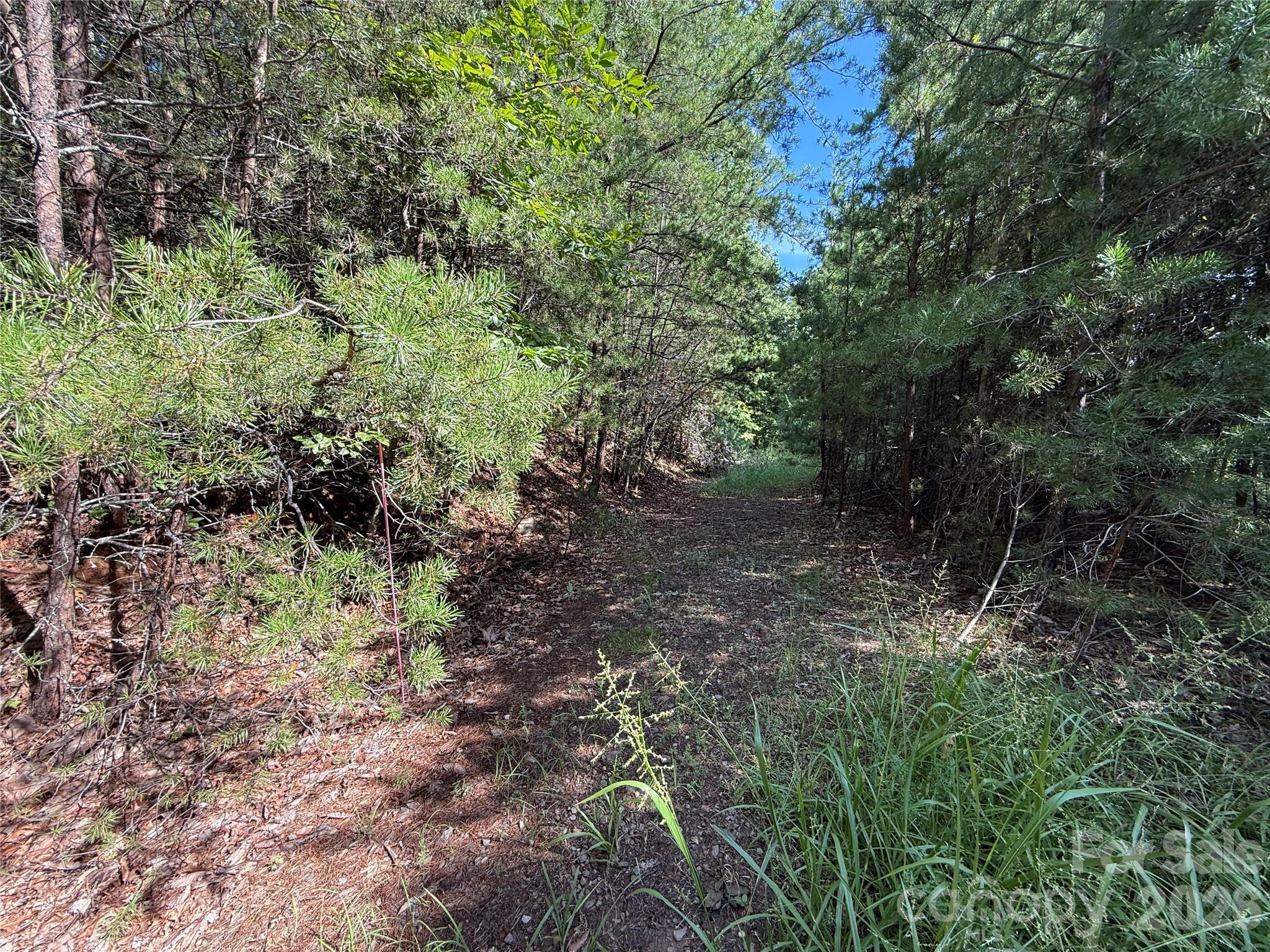 Tbd Wolf Pen Road 24 Property Photo 16