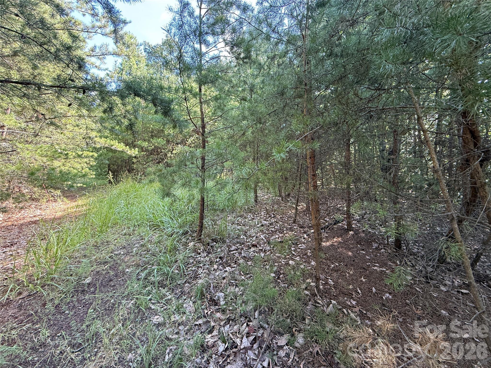 Tbd Wolf Pen Road 24 Property Photo 17
