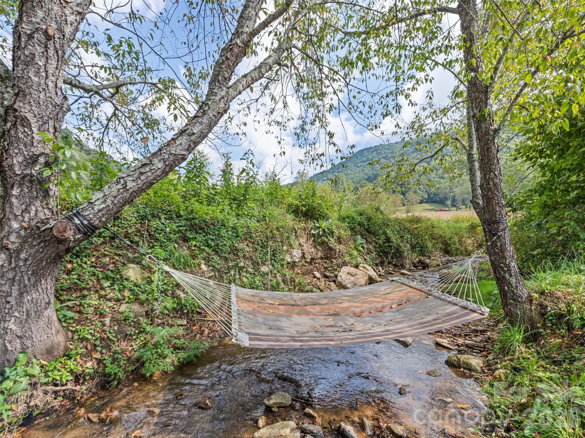 3827 Liner Creek Road Property Photo 17