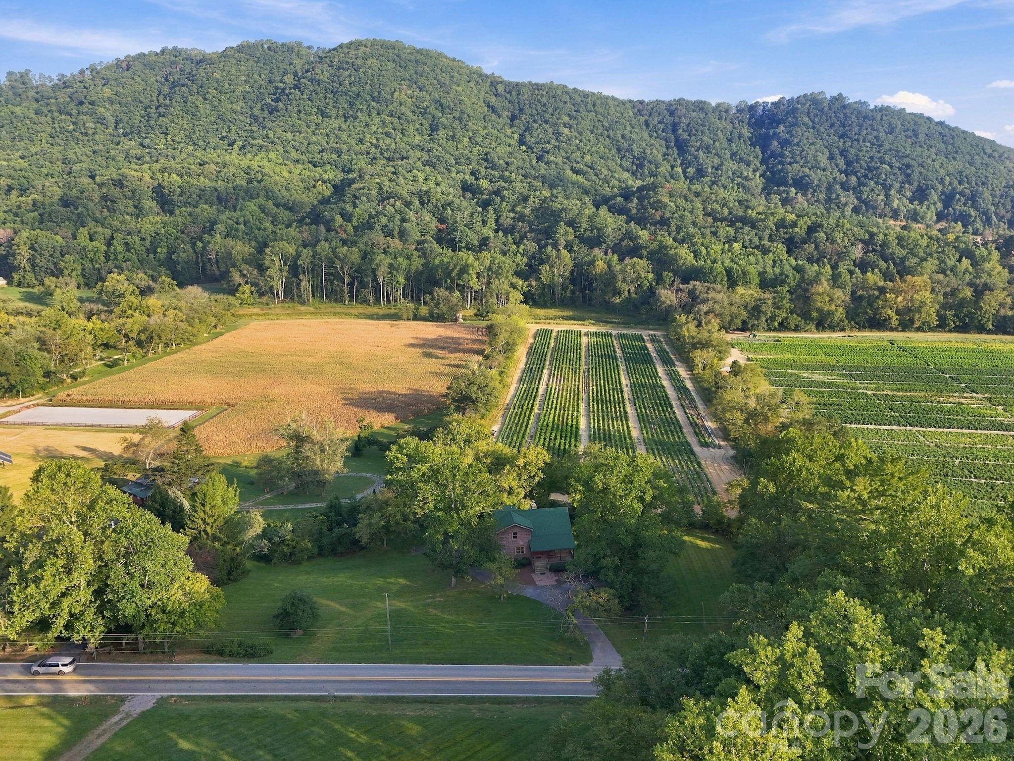 720 Cane Creek Road Property Photo 3