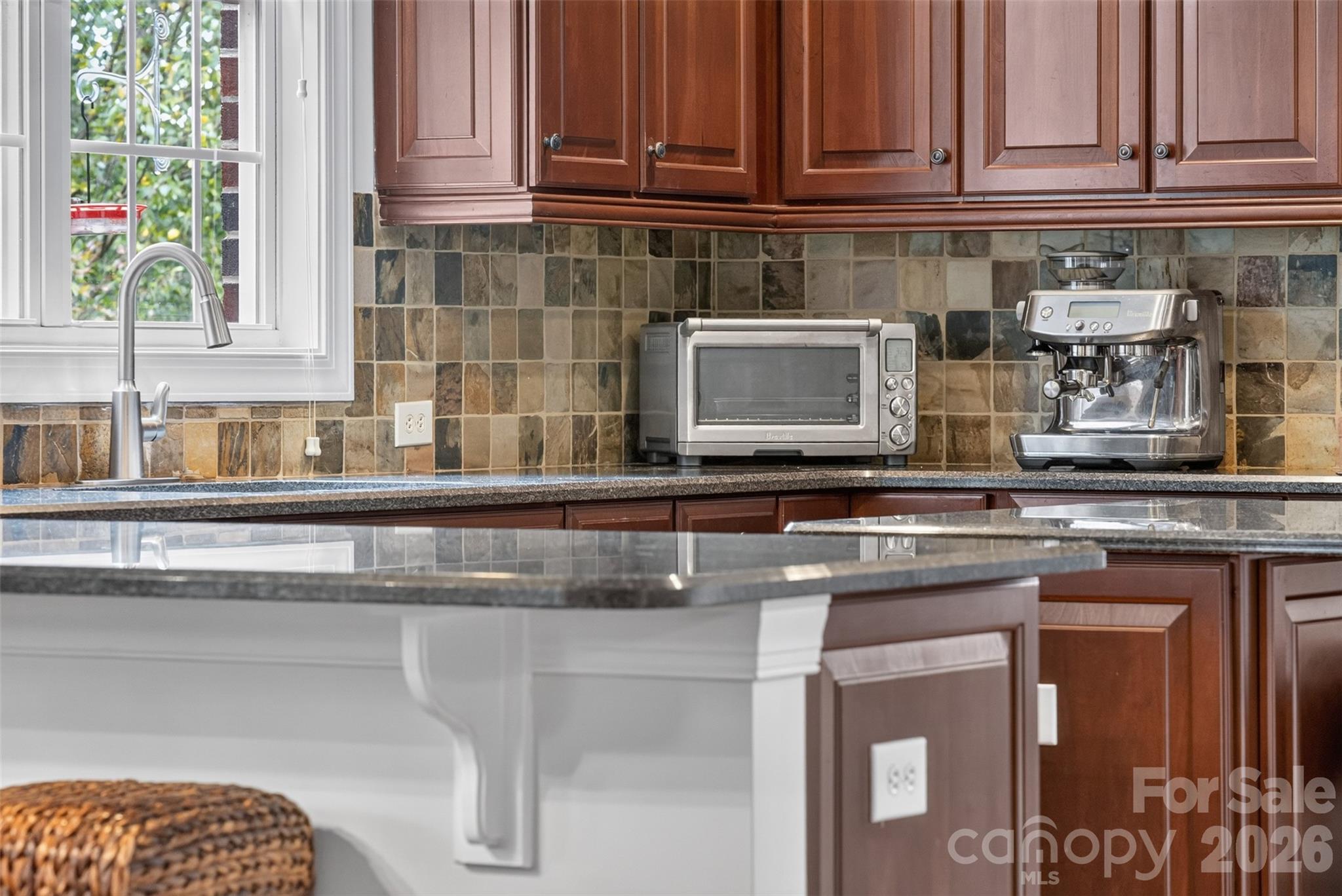 10103 Legolas Lane Property Photo 22