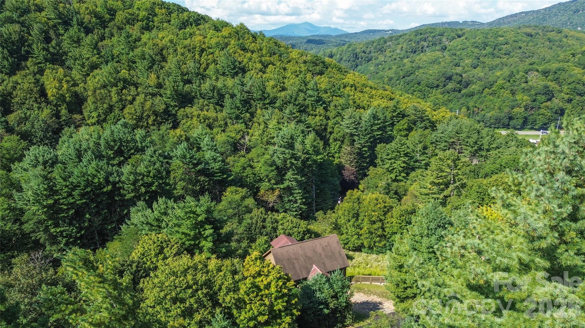 119 Loggers Trail Property Photo 4