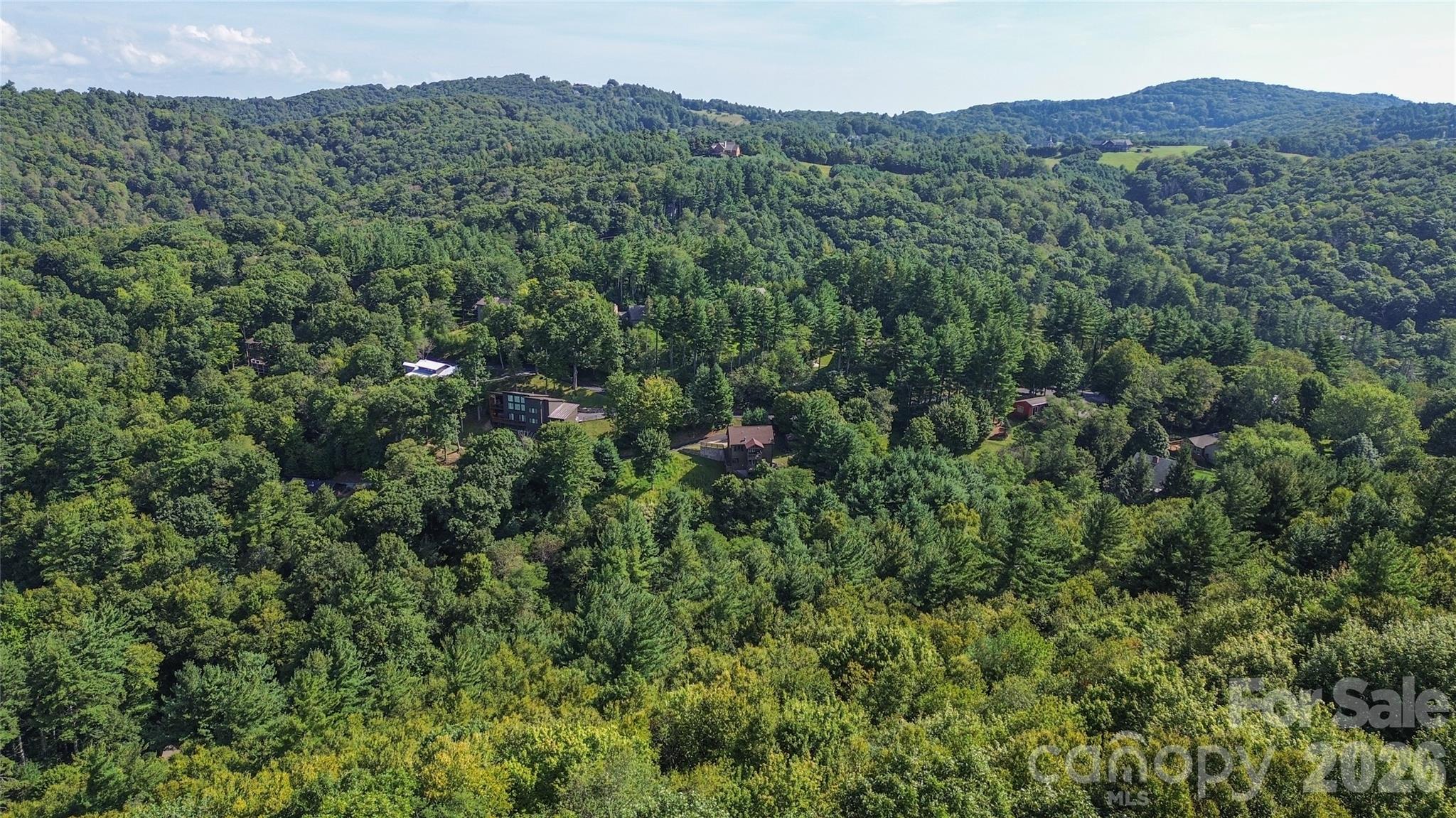 119 Loggers Trail Property Photo 16