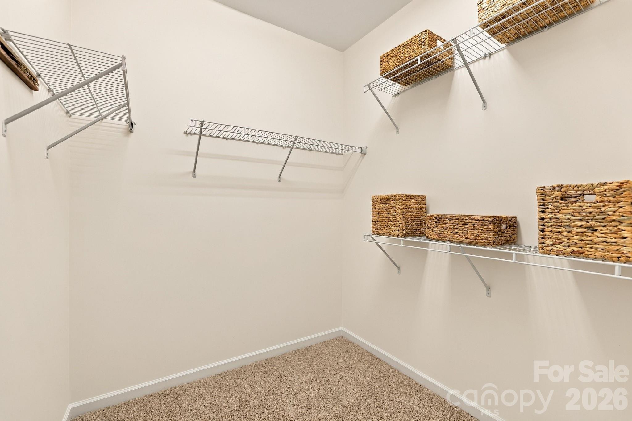23137 Whimbrel Circle Property Photo 15