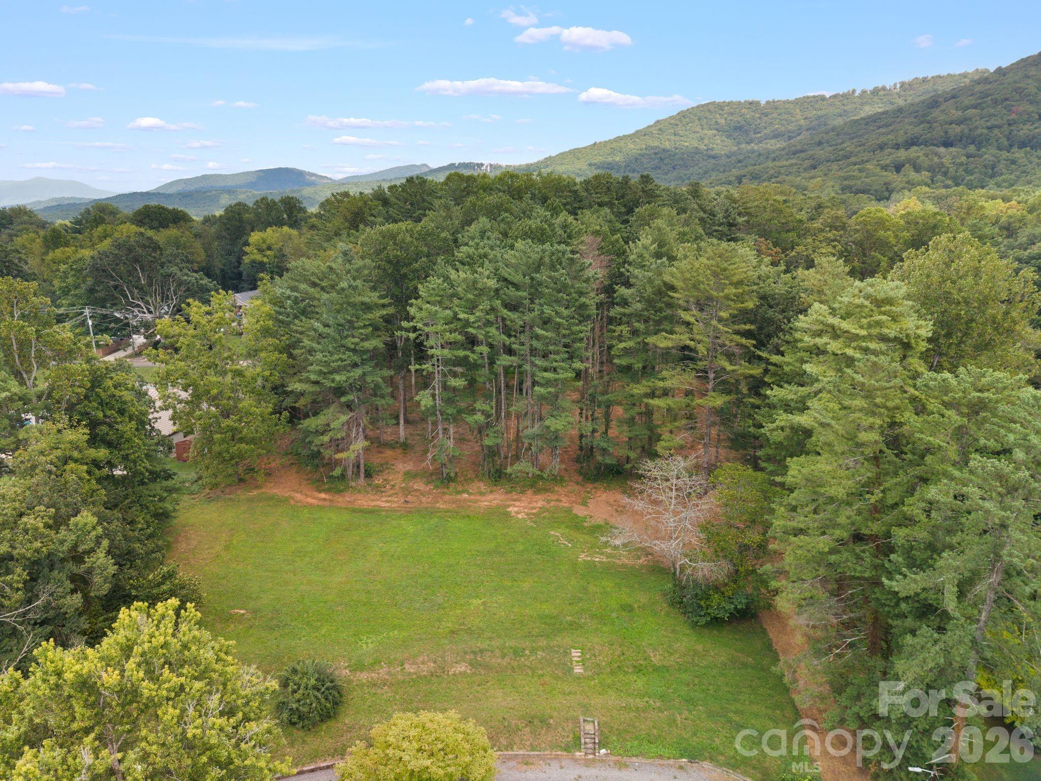 1452 Sweeten Creek Road Property Photo 34