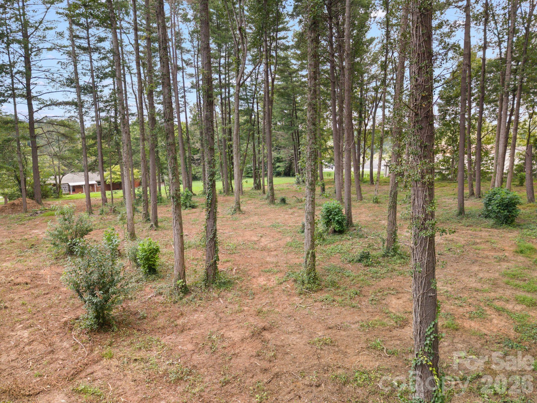 1452 Sweeten Creek Road Property Photo 38
