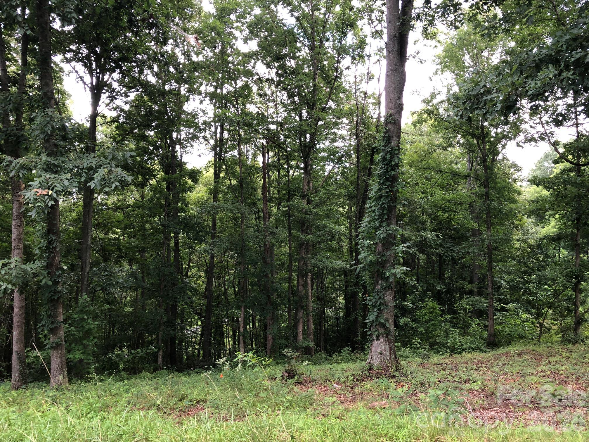 45 Sweet Fern Parkway 43 Property Photo 1