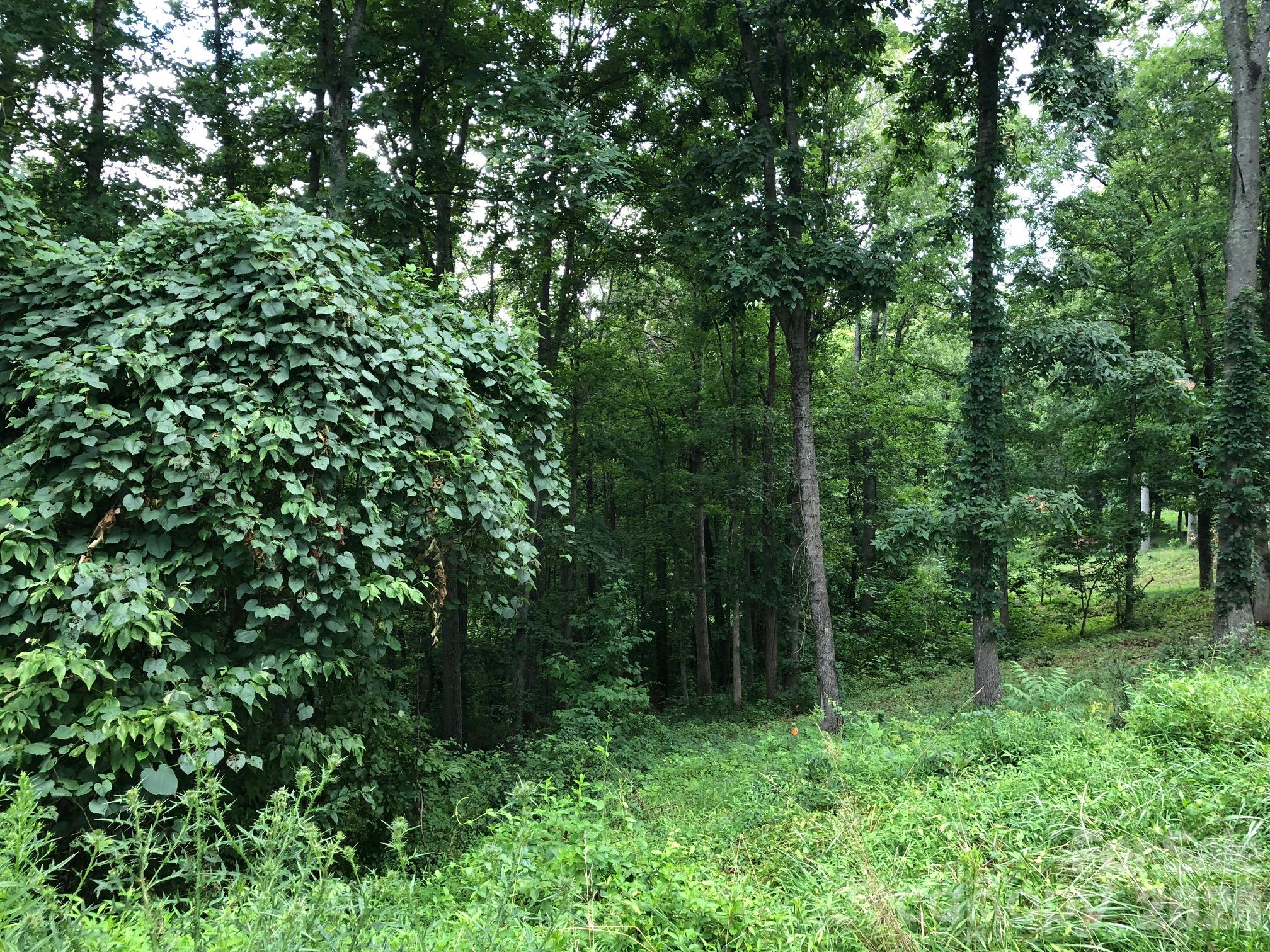 45 Sweet Fern Parkway 43 Property Photo 2