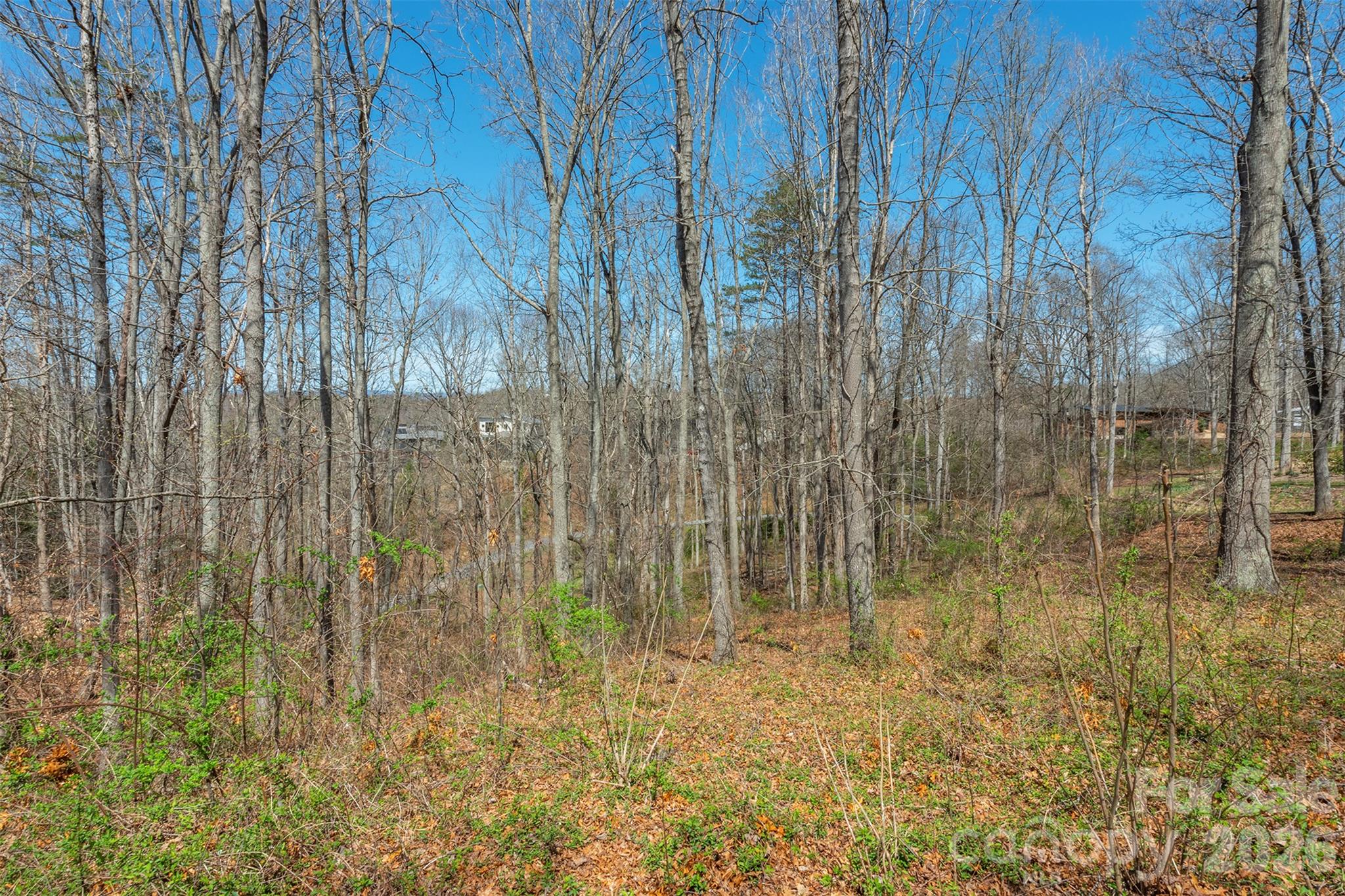45 Sweet Fern Parkway 43 Property Photo 5