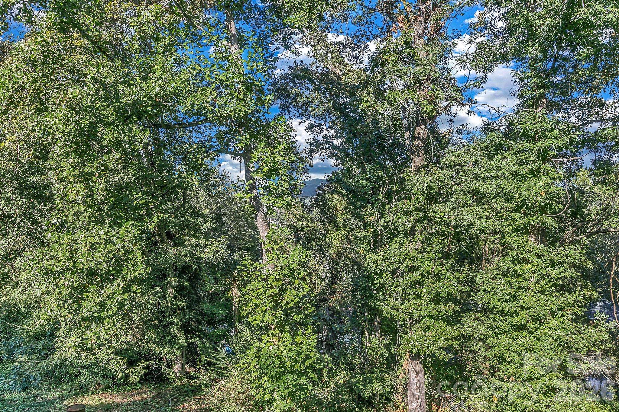148 Stradley Mountain Road Property Photo 34