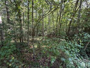 Lot 20 & 21 Zinzendorf Lane 20 & 21 Property Photo 1
