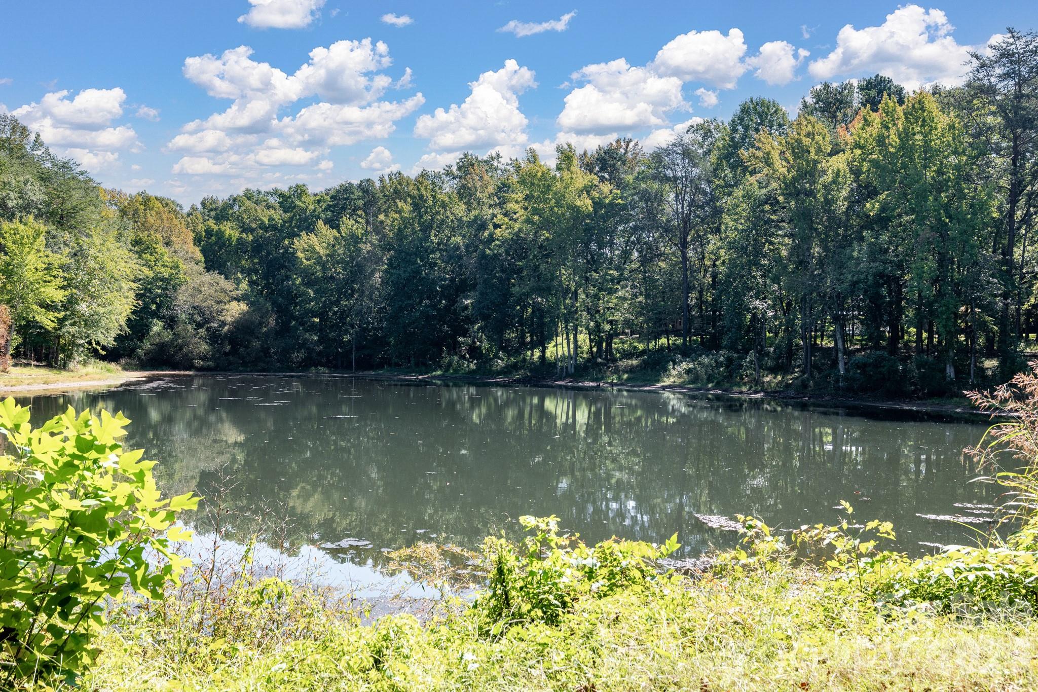 1291 Hines Road Property Photo 35