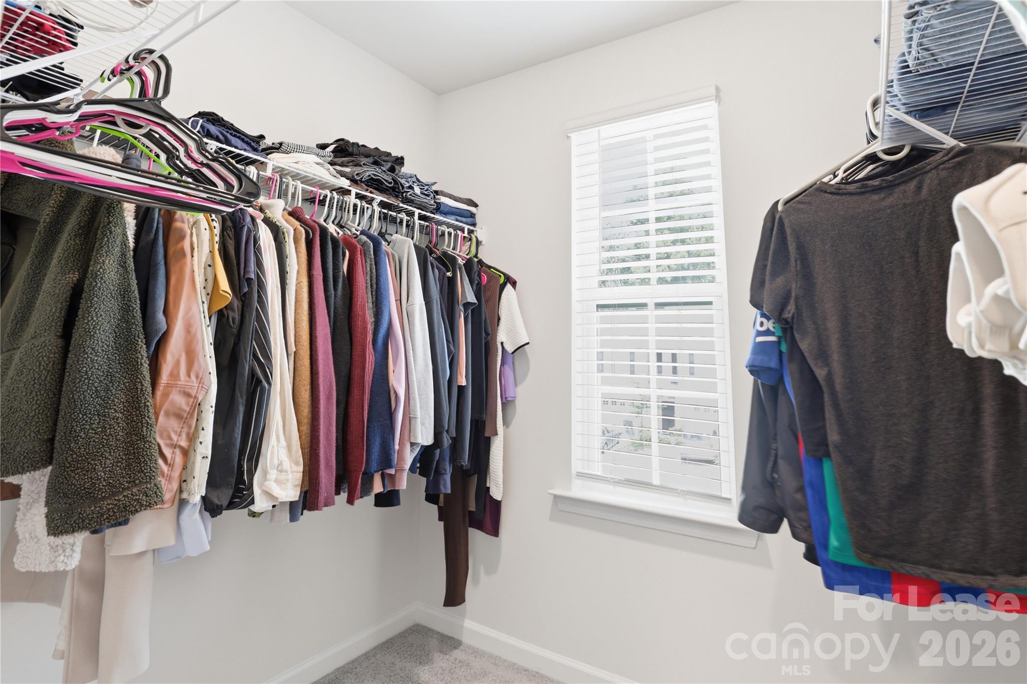 7109 N Mills Road Property Photo 15