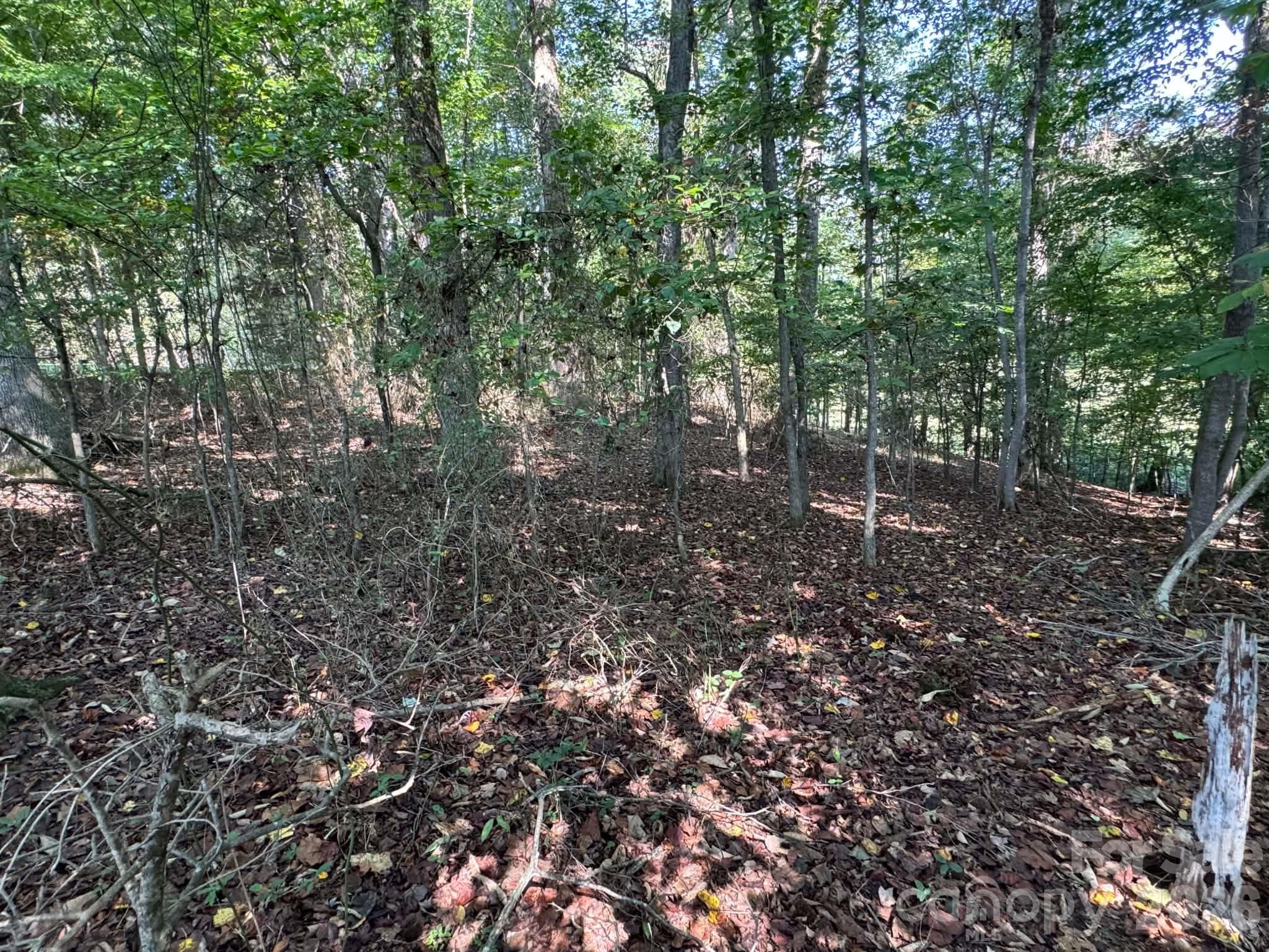2709 Murray Road Property Photo 33