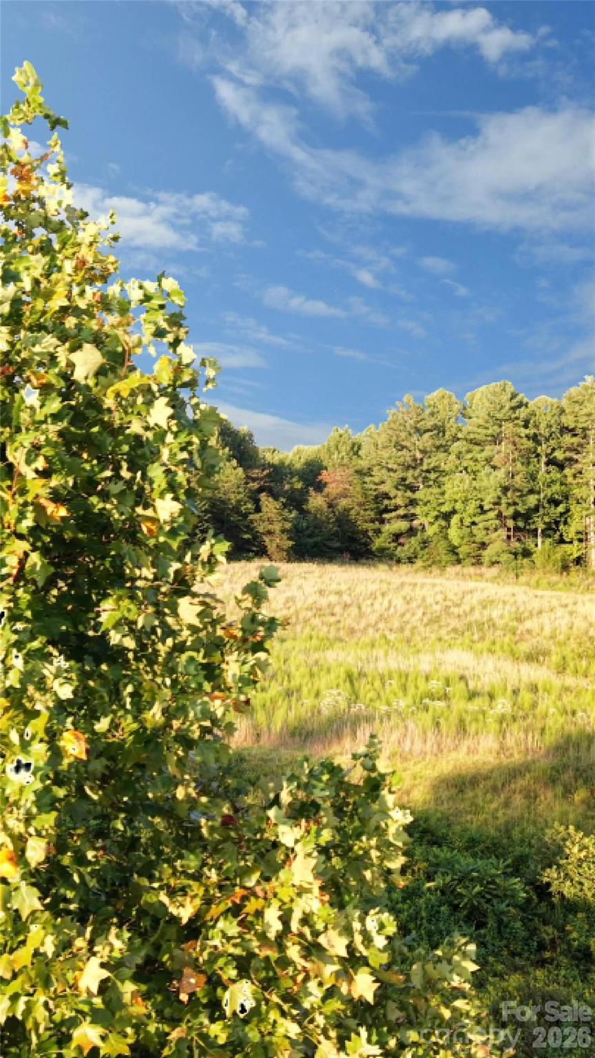 0 Johnson Ridge Road Property Photo 11