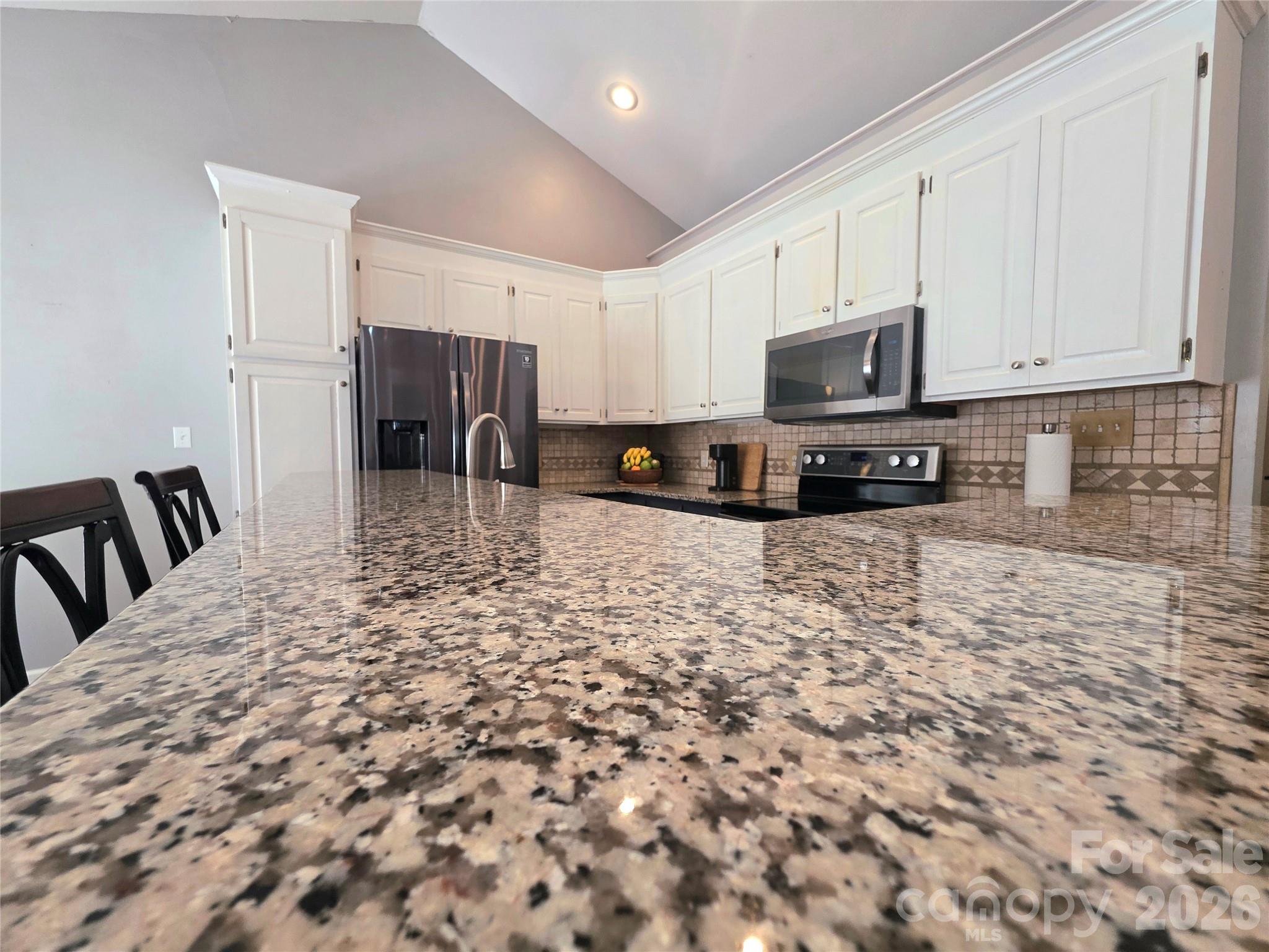 203 Springfield Road Property Photo 19