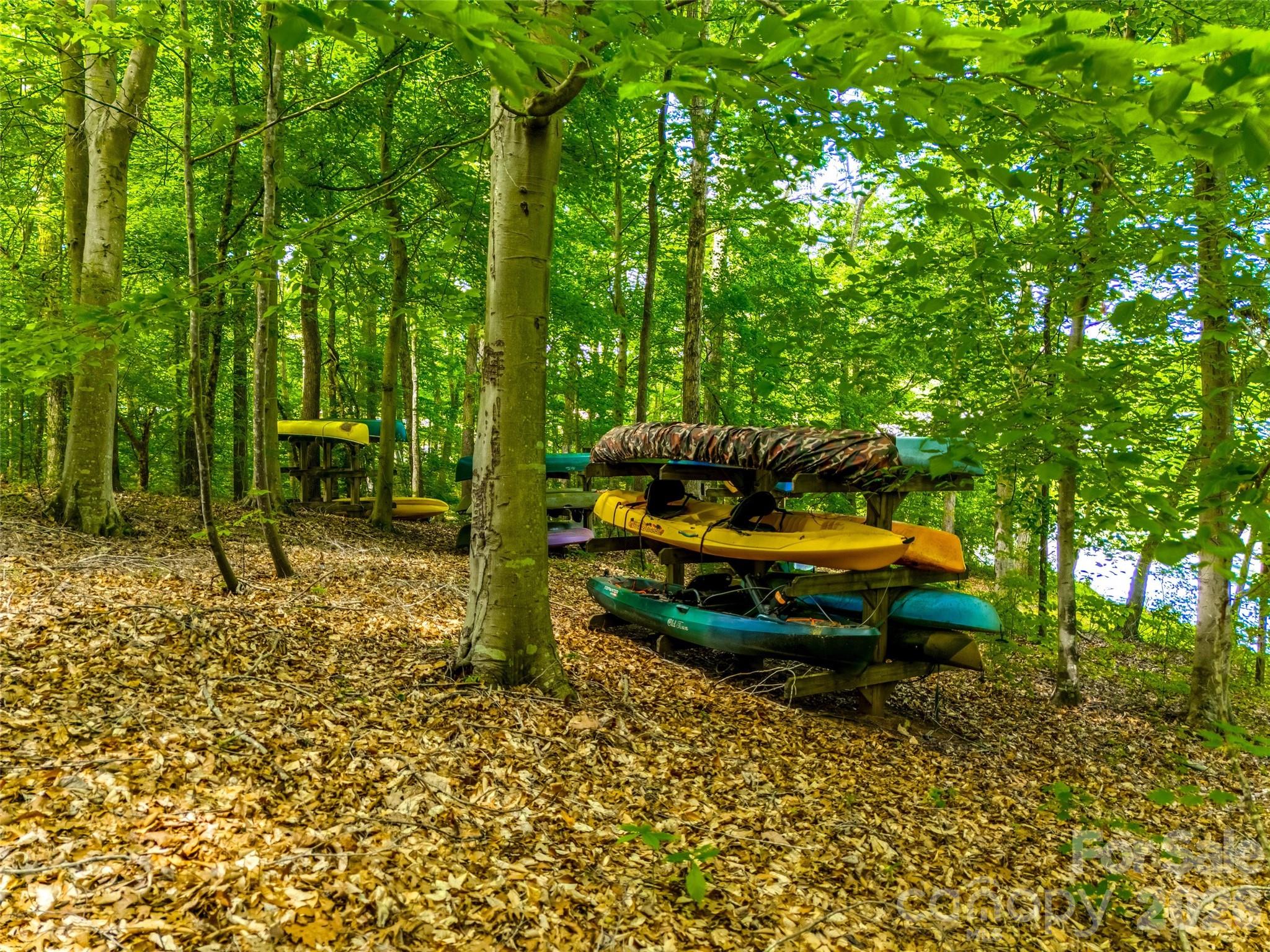 919 Thorn Ridge Lane Property Photo 44