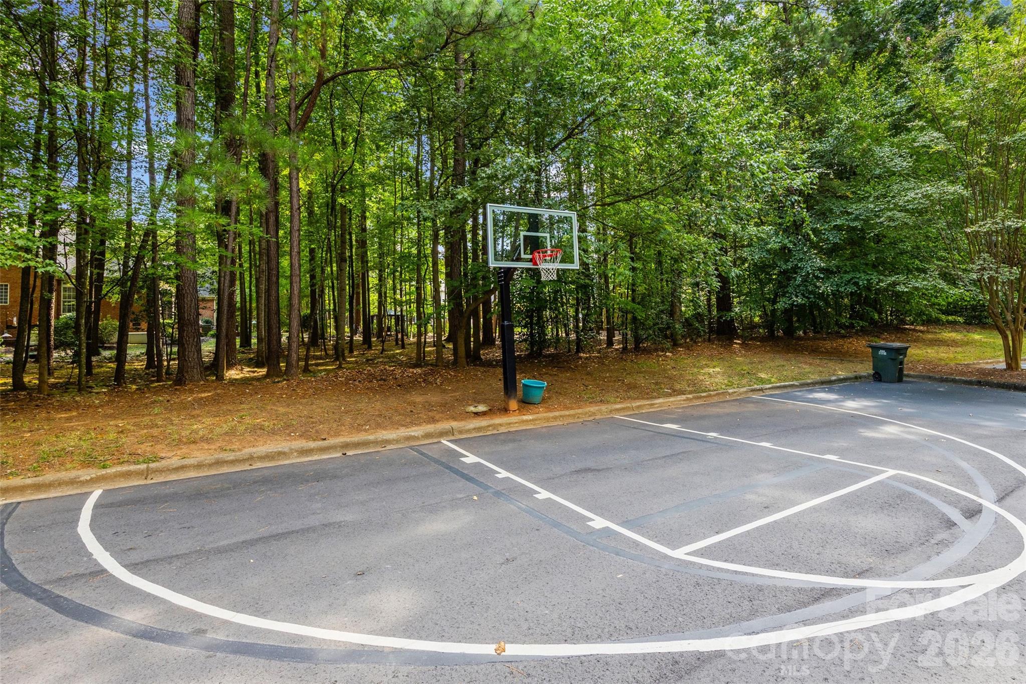 919 Thorn Ridge Lane Property Photo 45