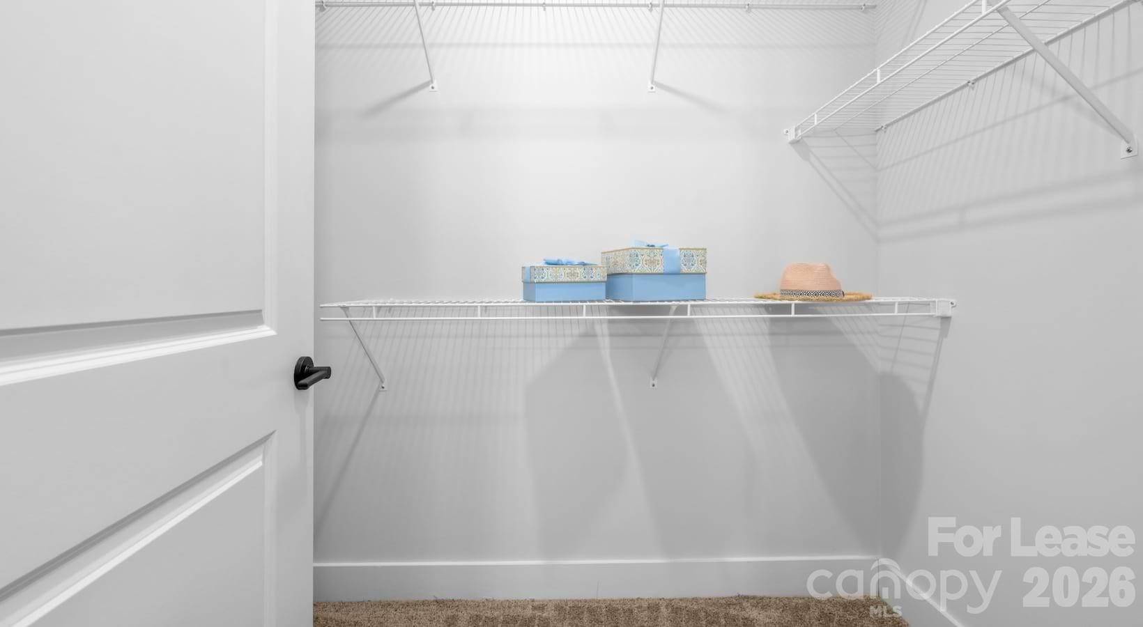104 Herrings Green Loop C1 Property Photo 37