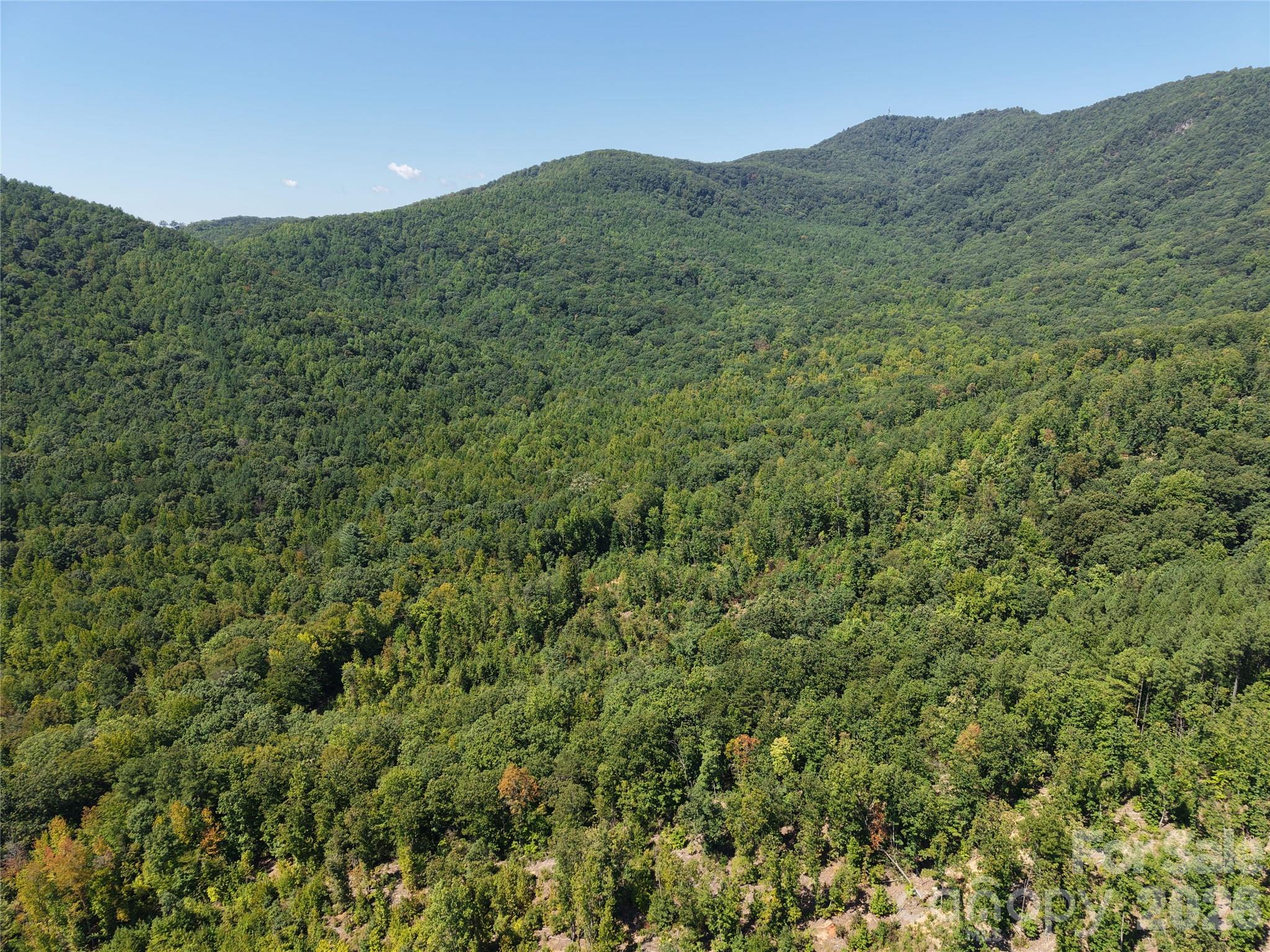 00 Camp Knob Road Property Photo 1
