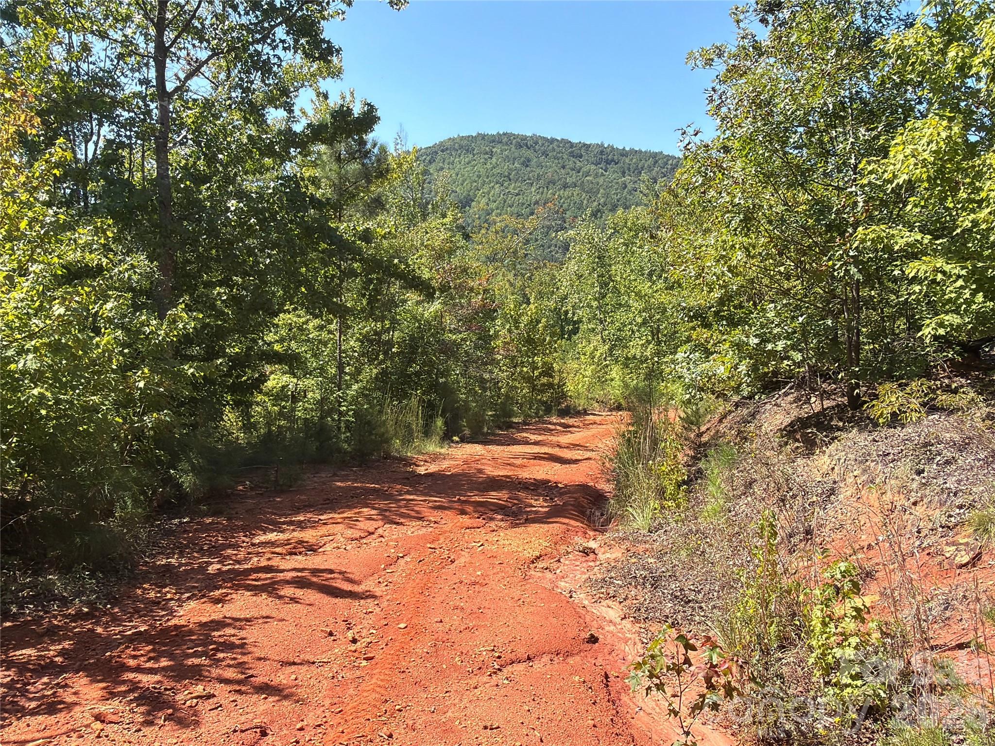 00 Camp Knob Road Property Photo 2