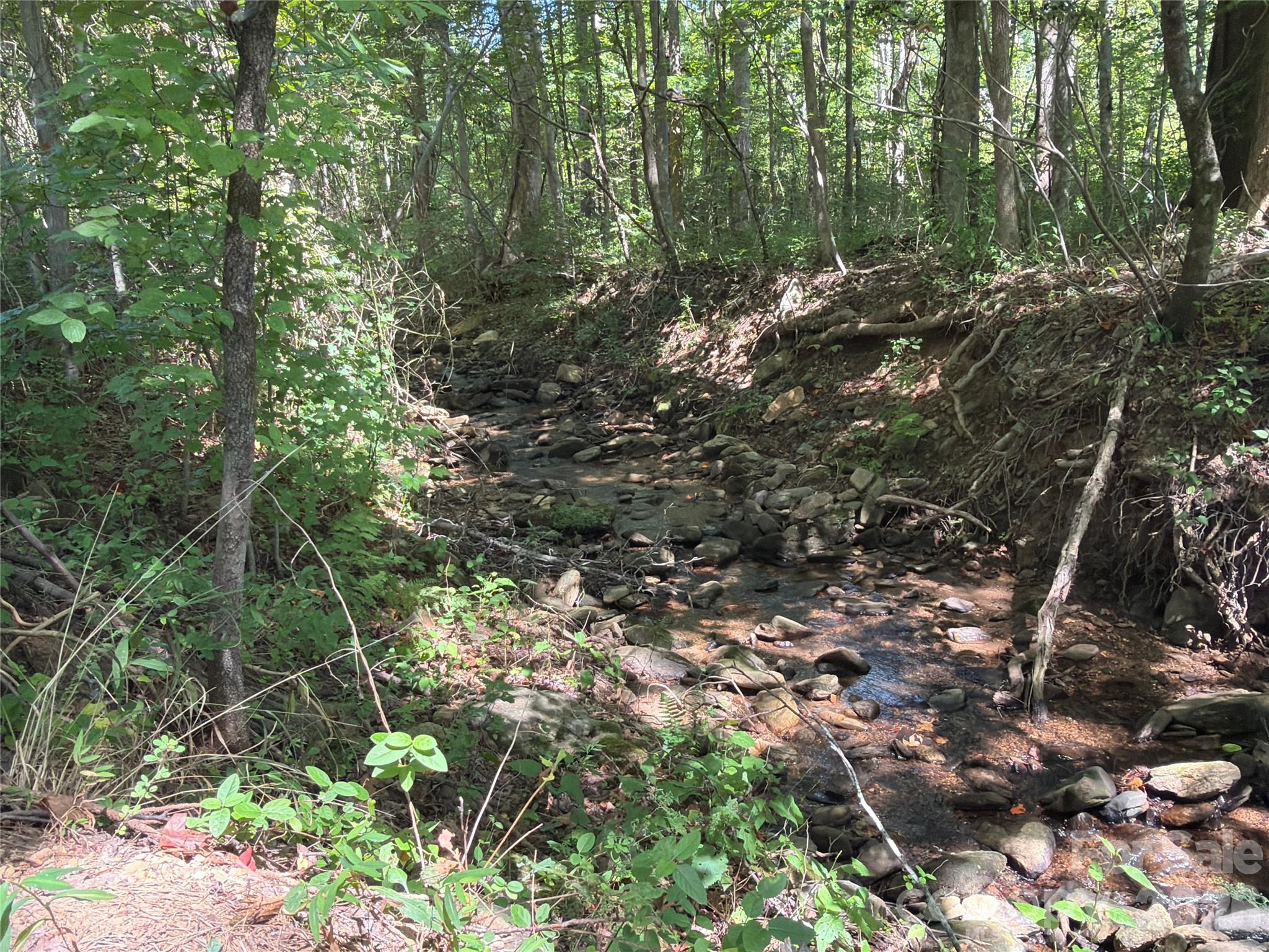 00 Camp Knob Road Property Photo 3