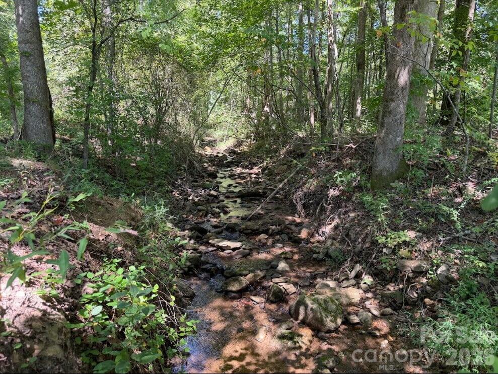 00 Camp Knob Road Property Photo 5