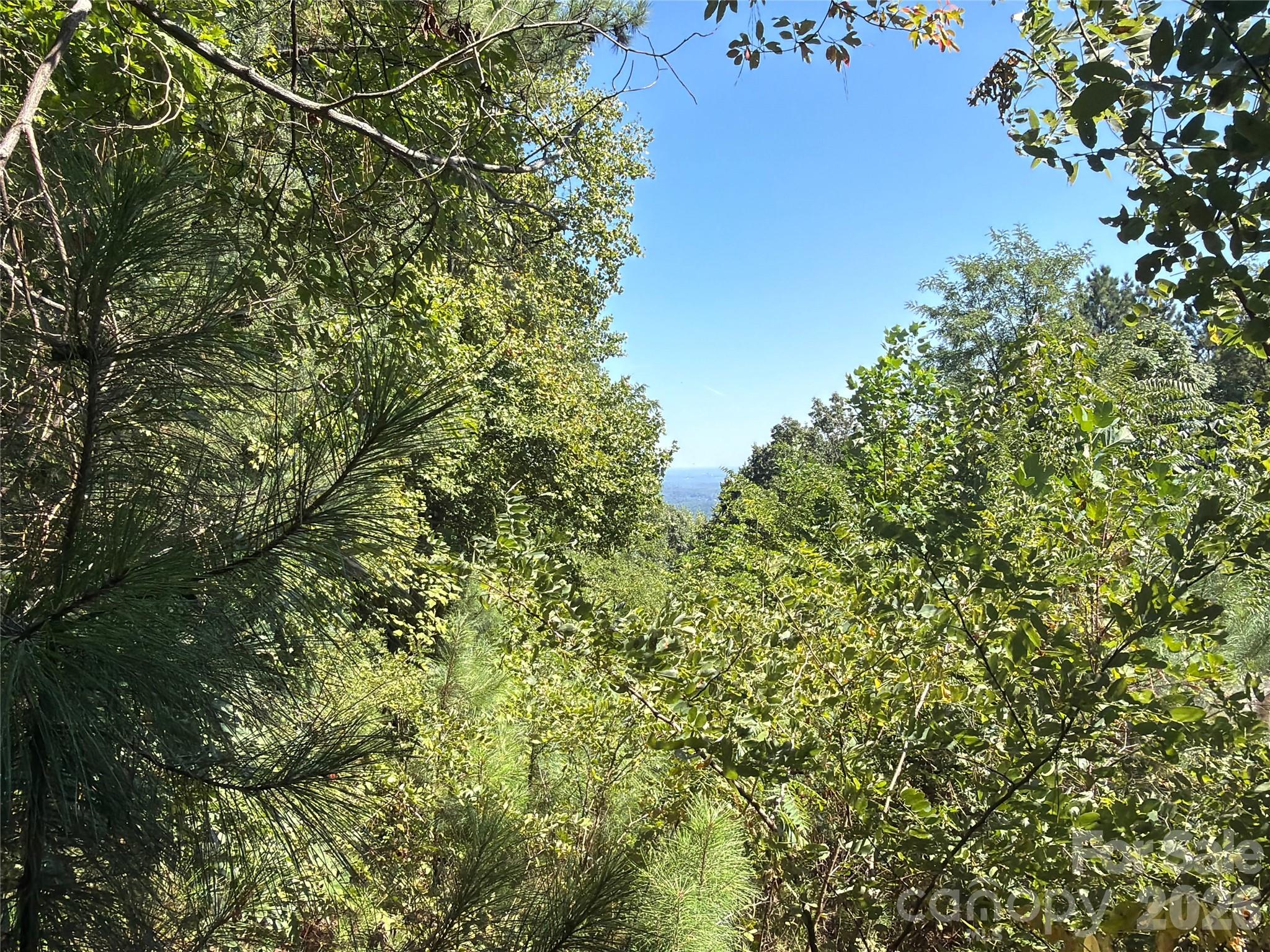 00 Camp Knob Road Property Photo 6