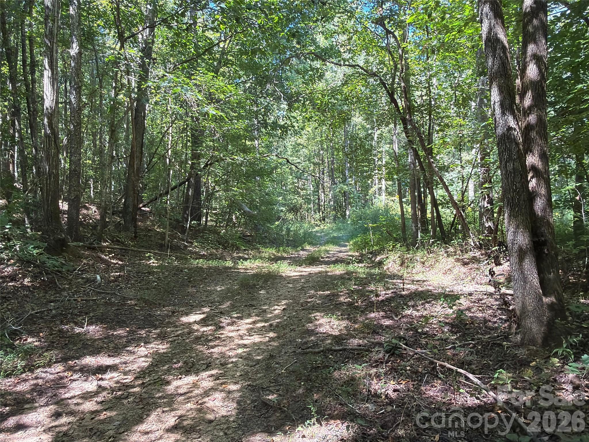 00 Camp Knob Road Property Photo 7