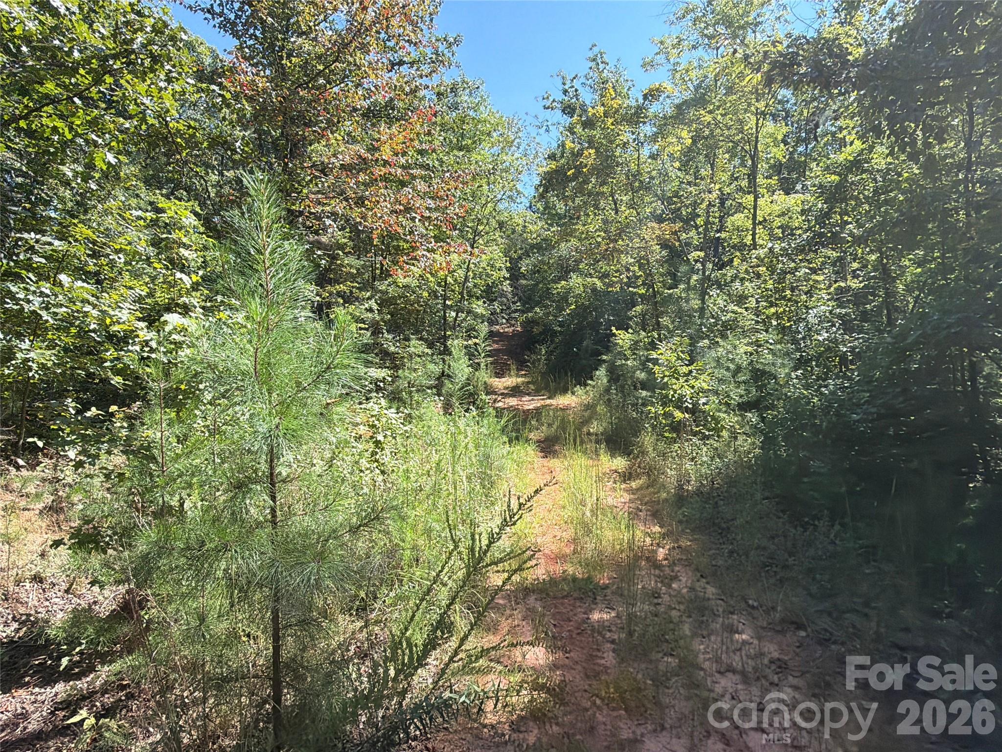 00 Camp Knob Road Property Photo 8
