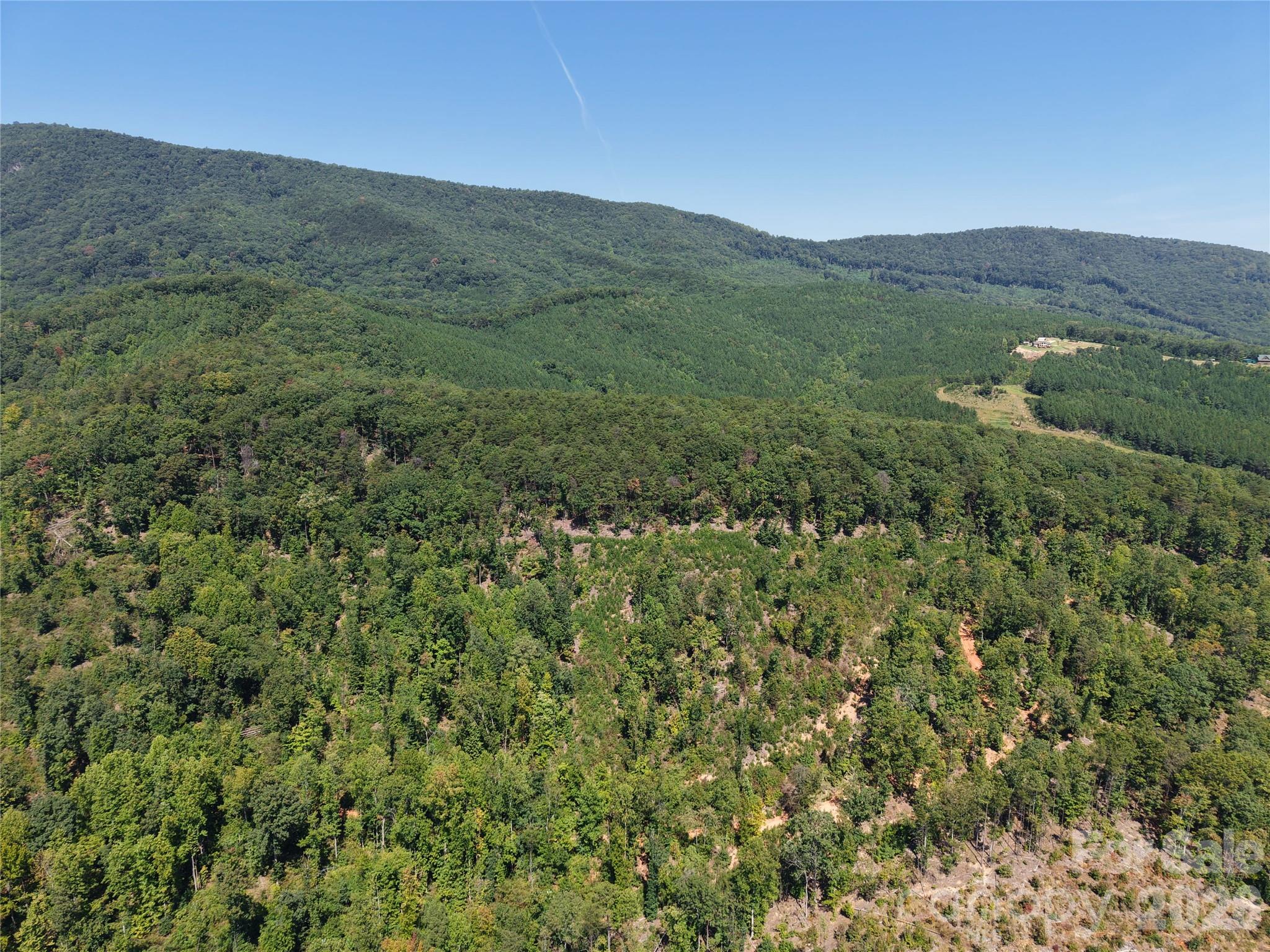 00 Camp Knob Road Property Photo 9