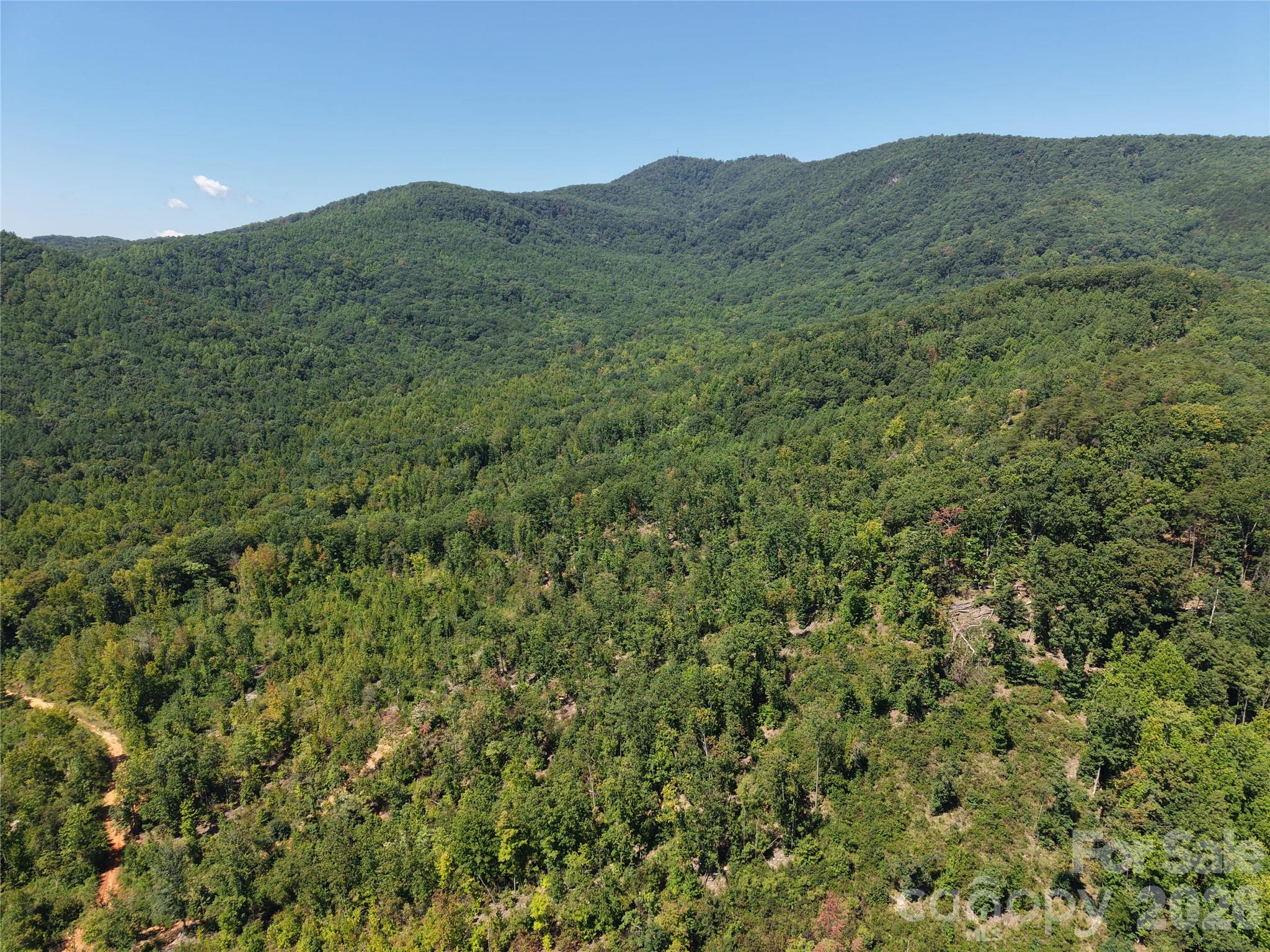 00 Camp Knob Road Property Photo 10