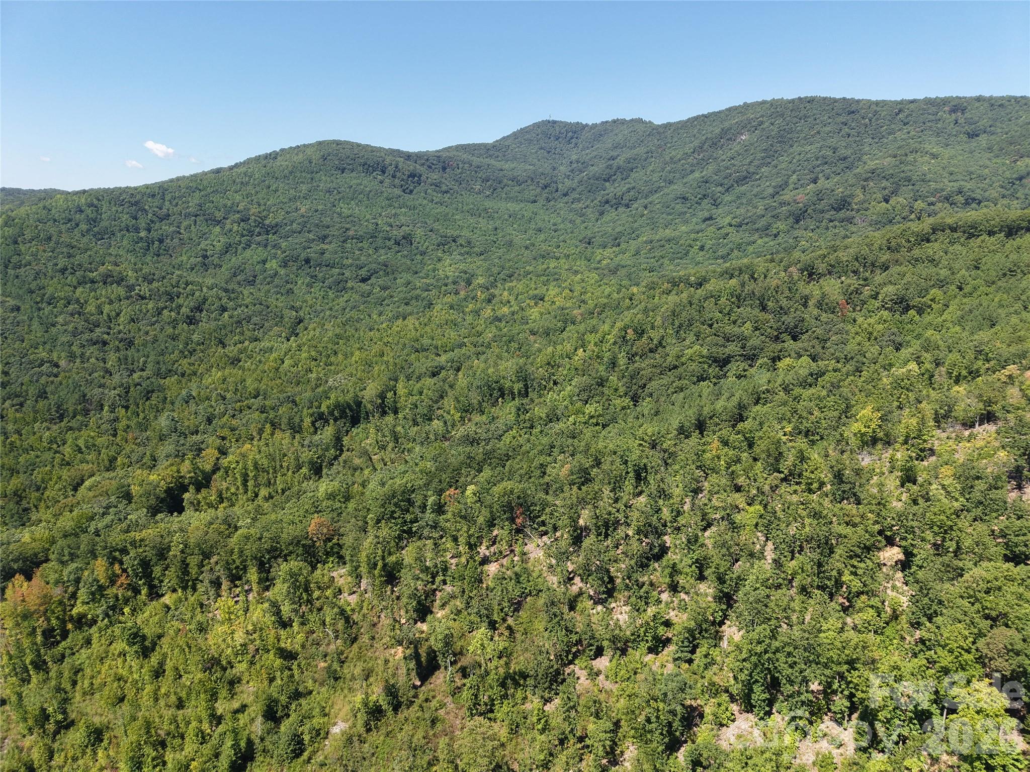 00 Camp Knob Road Property Photo 11