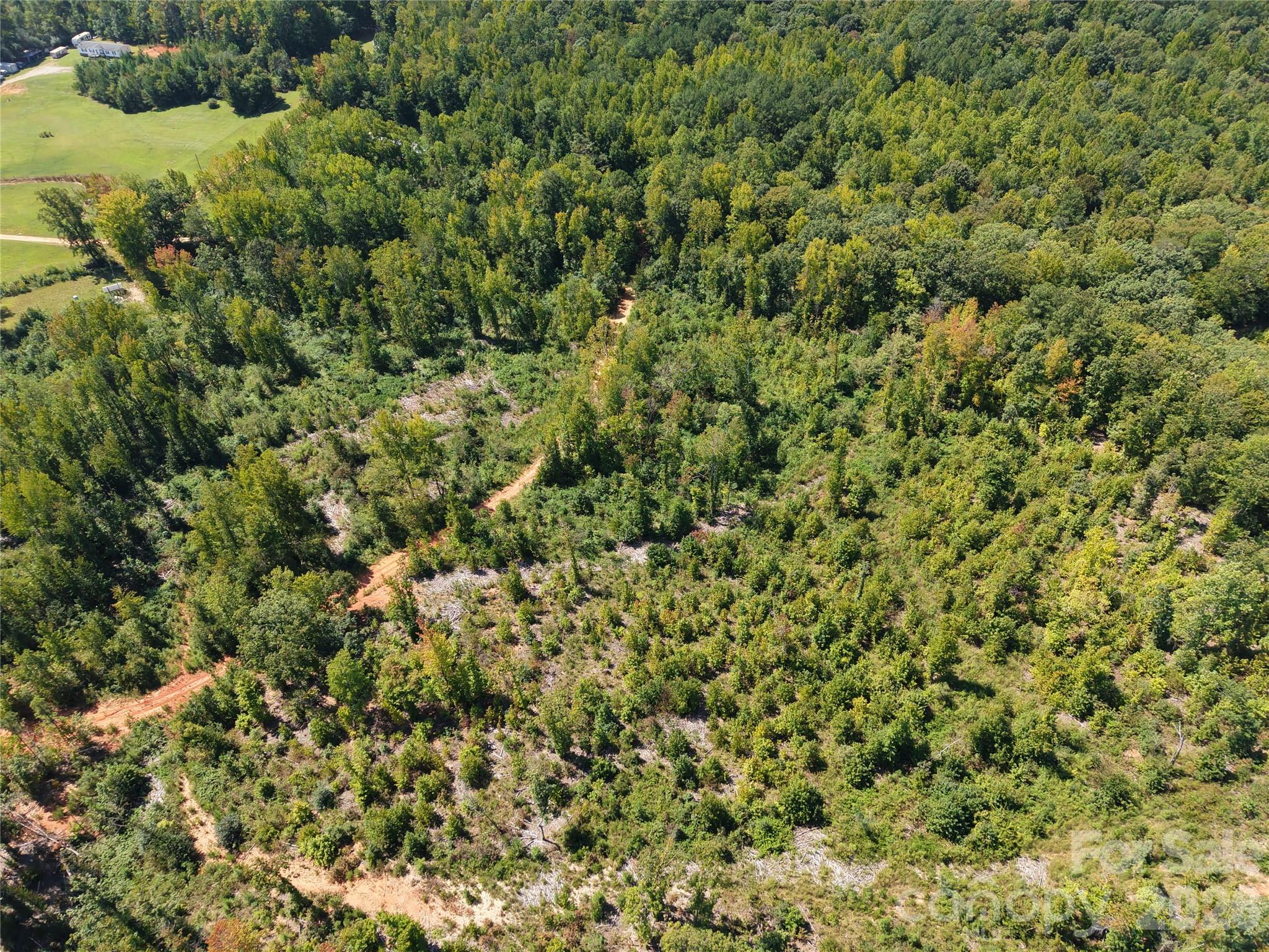 00 Camp Knob Road Property Photo 13