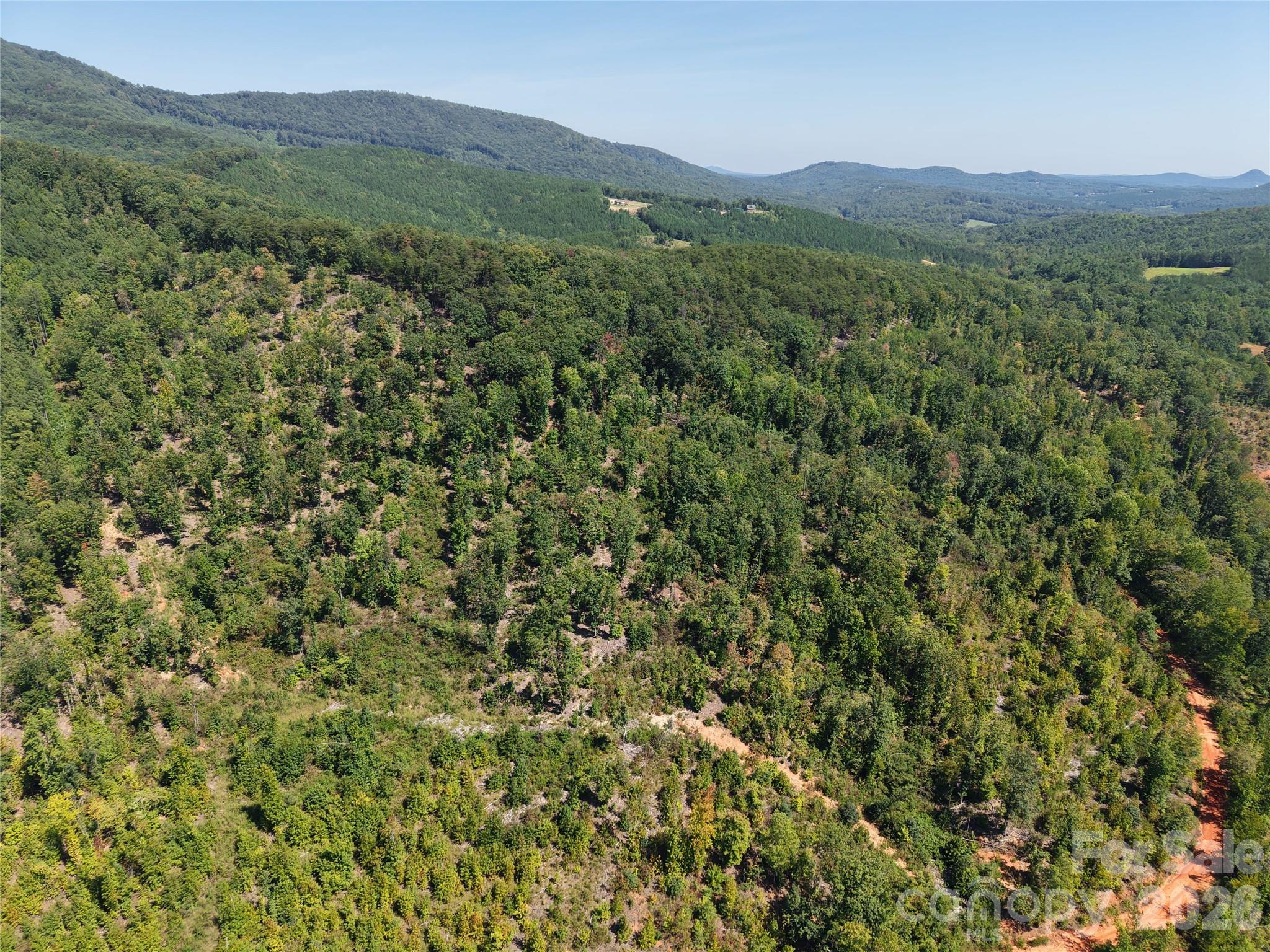 00 Camp Knob Road Property Photo 14