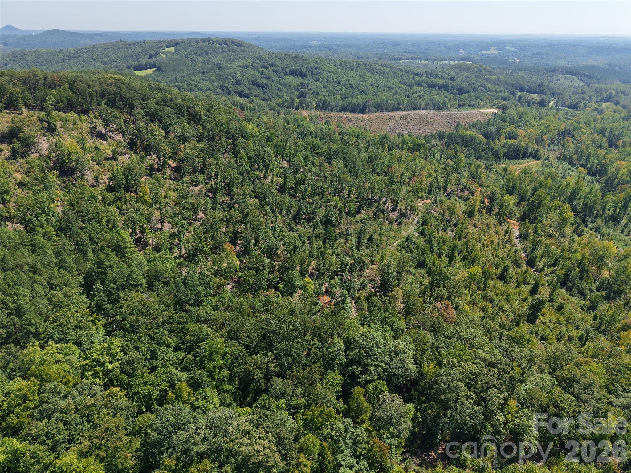 00 Camp Knob Road Property Photo 15