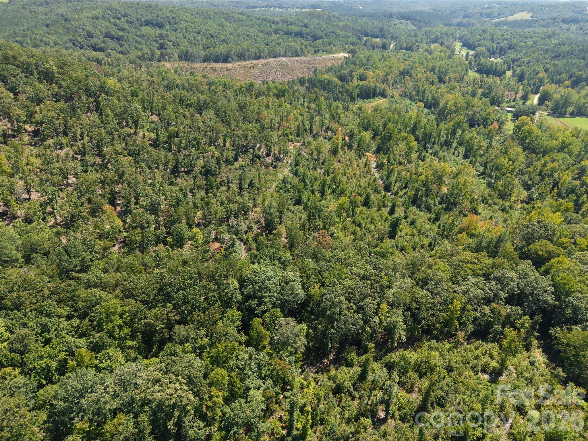 00 Camp Knob Road Property Photo 16