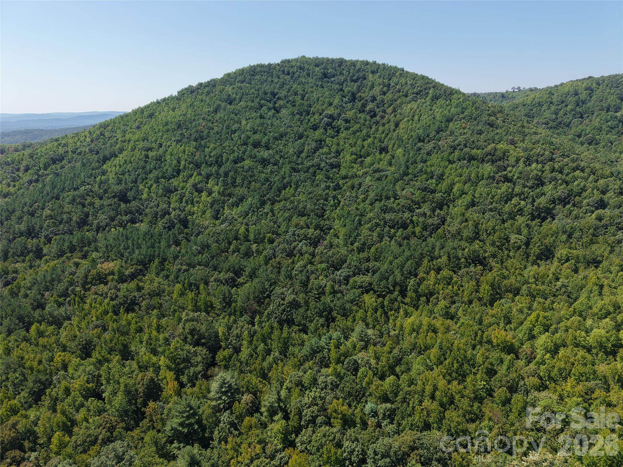 00 Camp Knob Road Property Photo 18