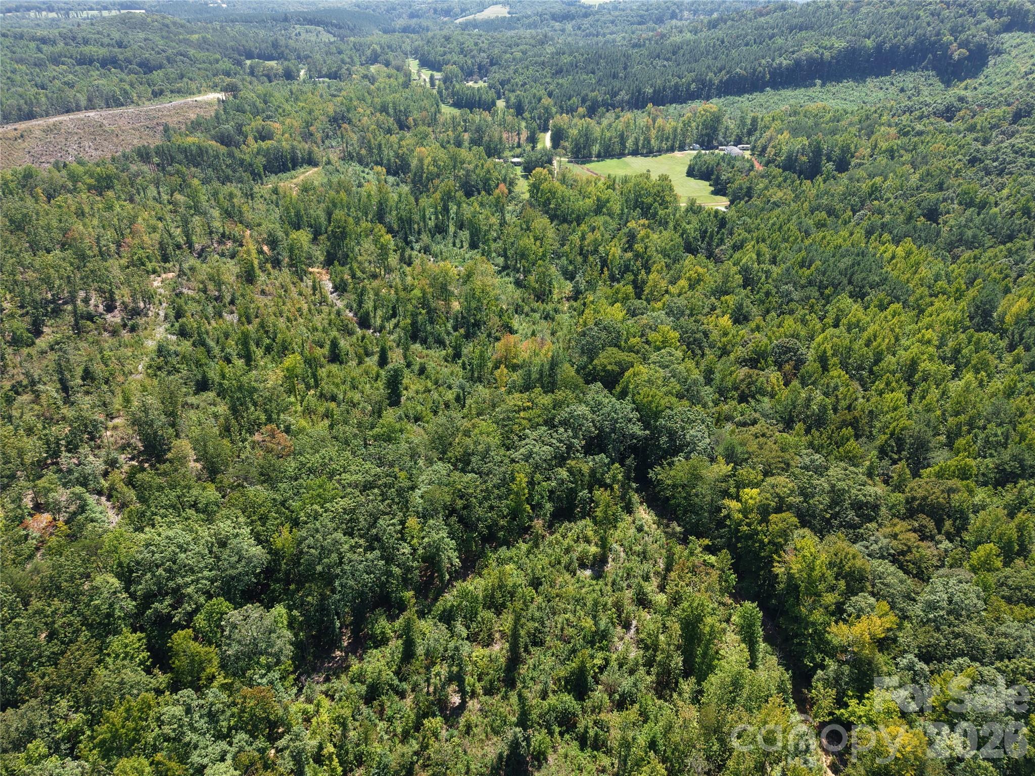 00 Camp Knob Road Property Photo 19