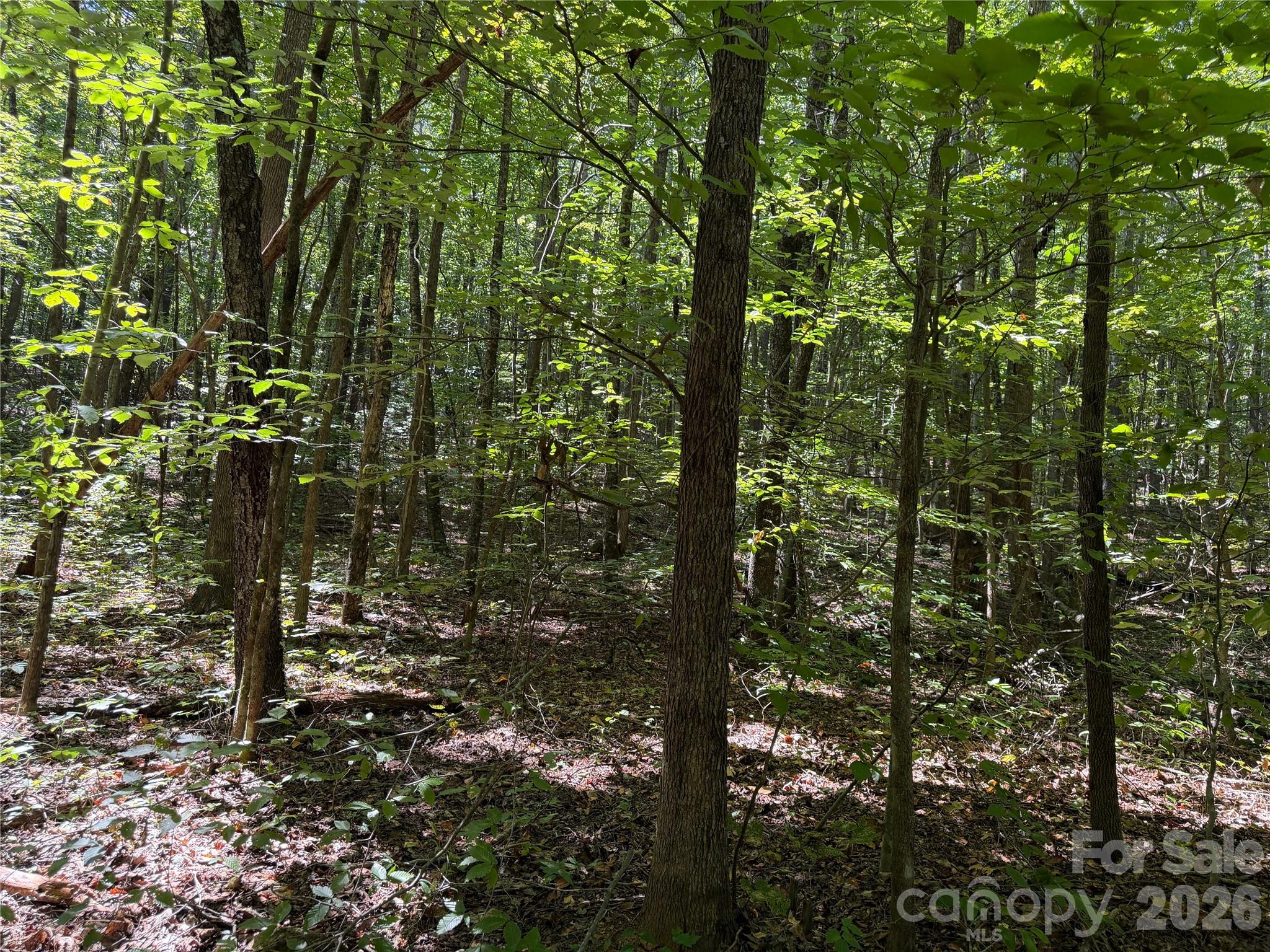 00 Camp Knob Road Property Photo 21