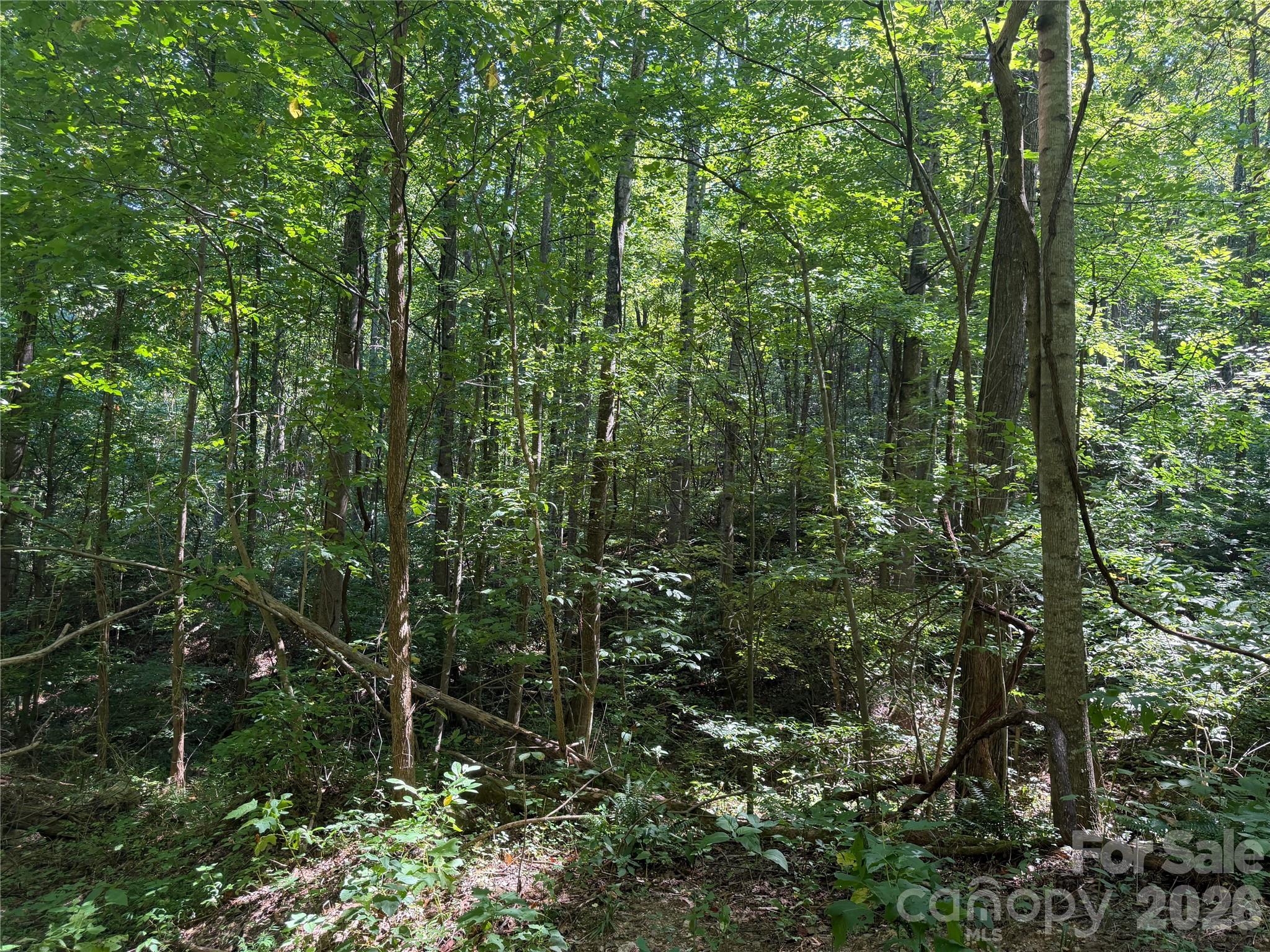 00 Camp Knob Road Property Photo 23